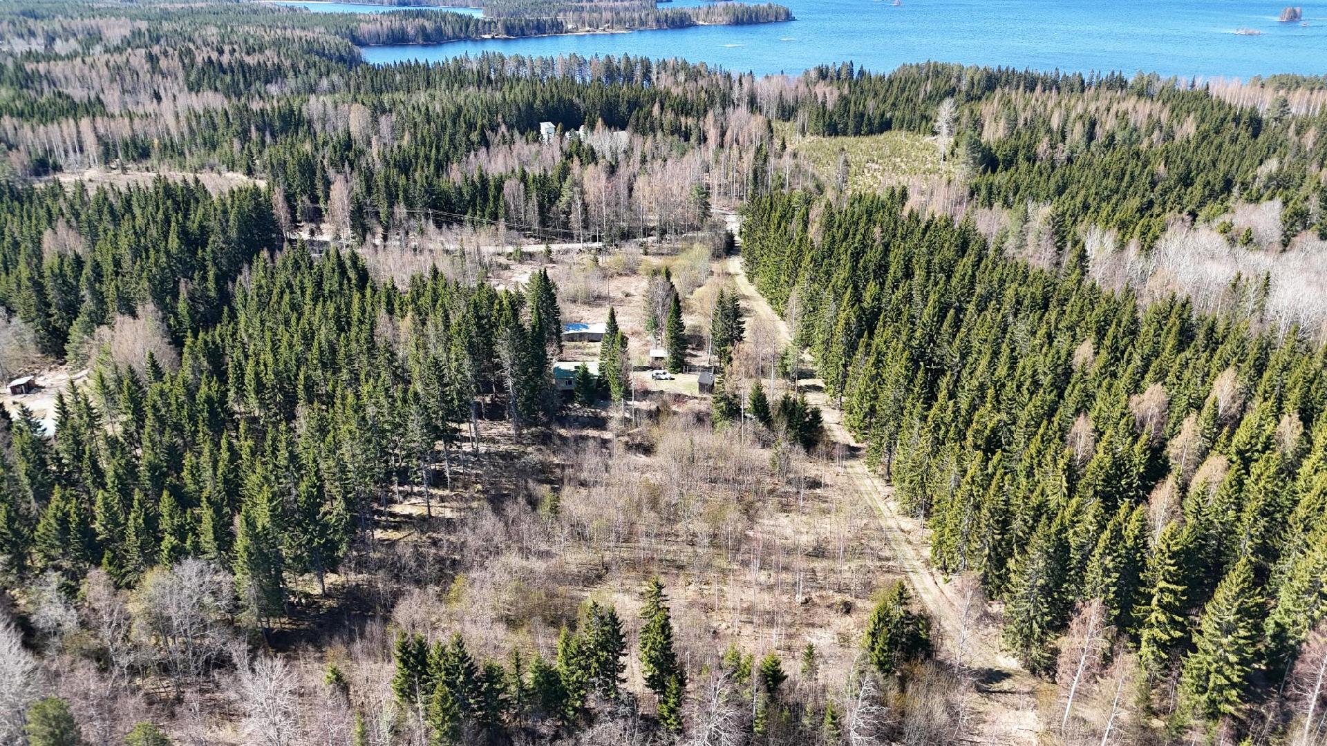 Pikontie 341, Pielavesi, Pielavesi