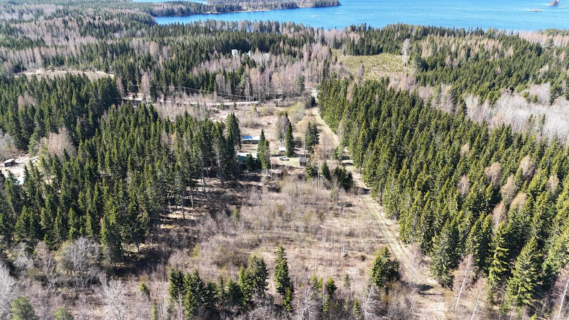 Pikontie 341, Pielavesi, Pielavesi