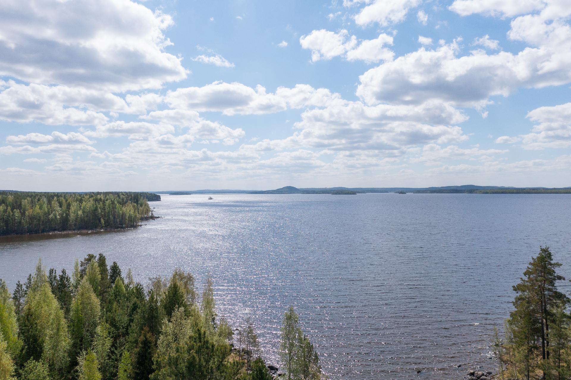 Koppeliniemi 41, Lievestuore, Laukaa