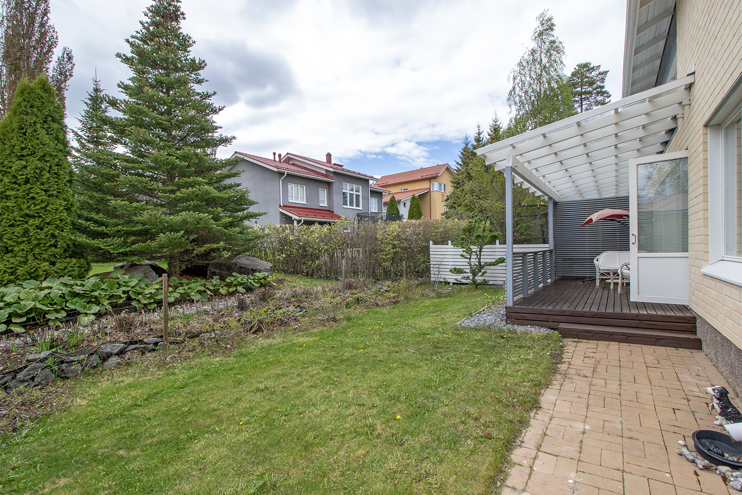 Pihalla kasvamassa myös pensasmustikoita.