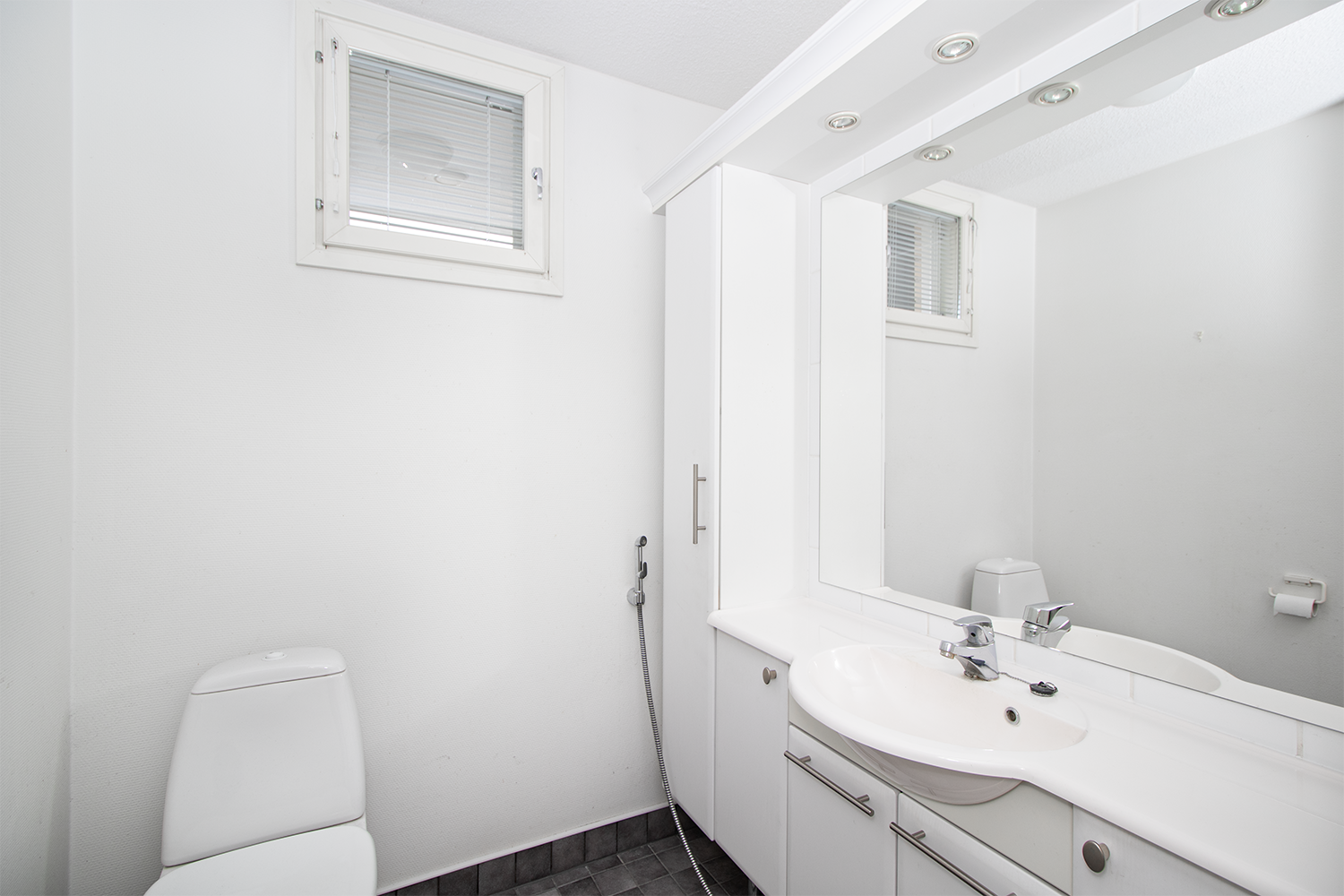 Alakerran erillinen wc.