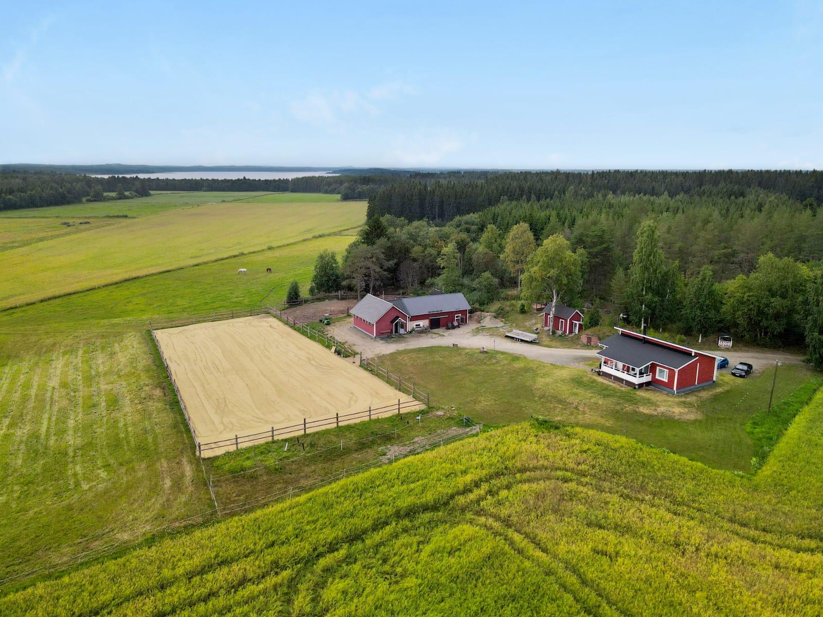 Purnusuo 17, Viinijärvi, Liperi