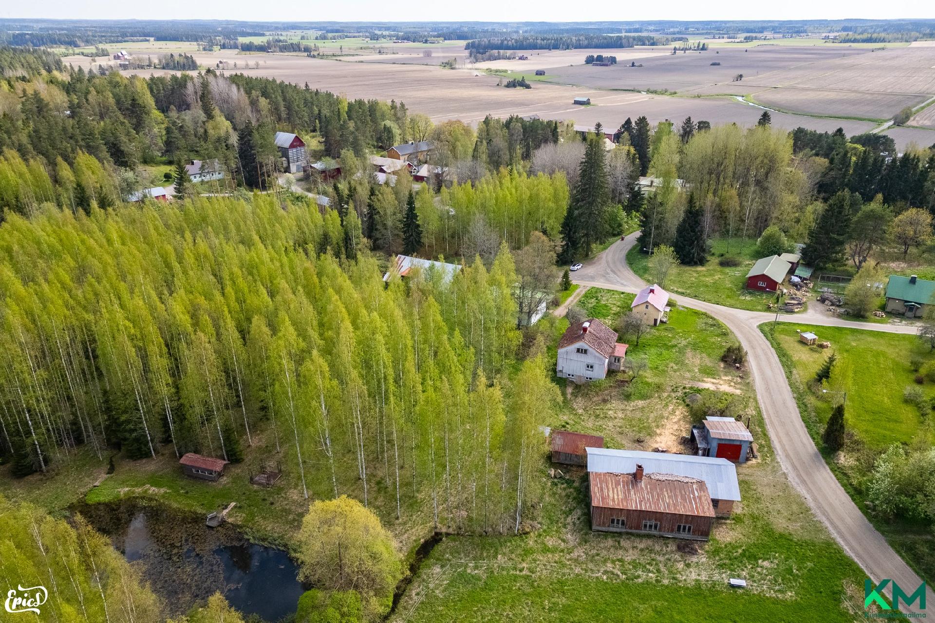 Moisiontie 10, Oriniemi, Punkalaidun