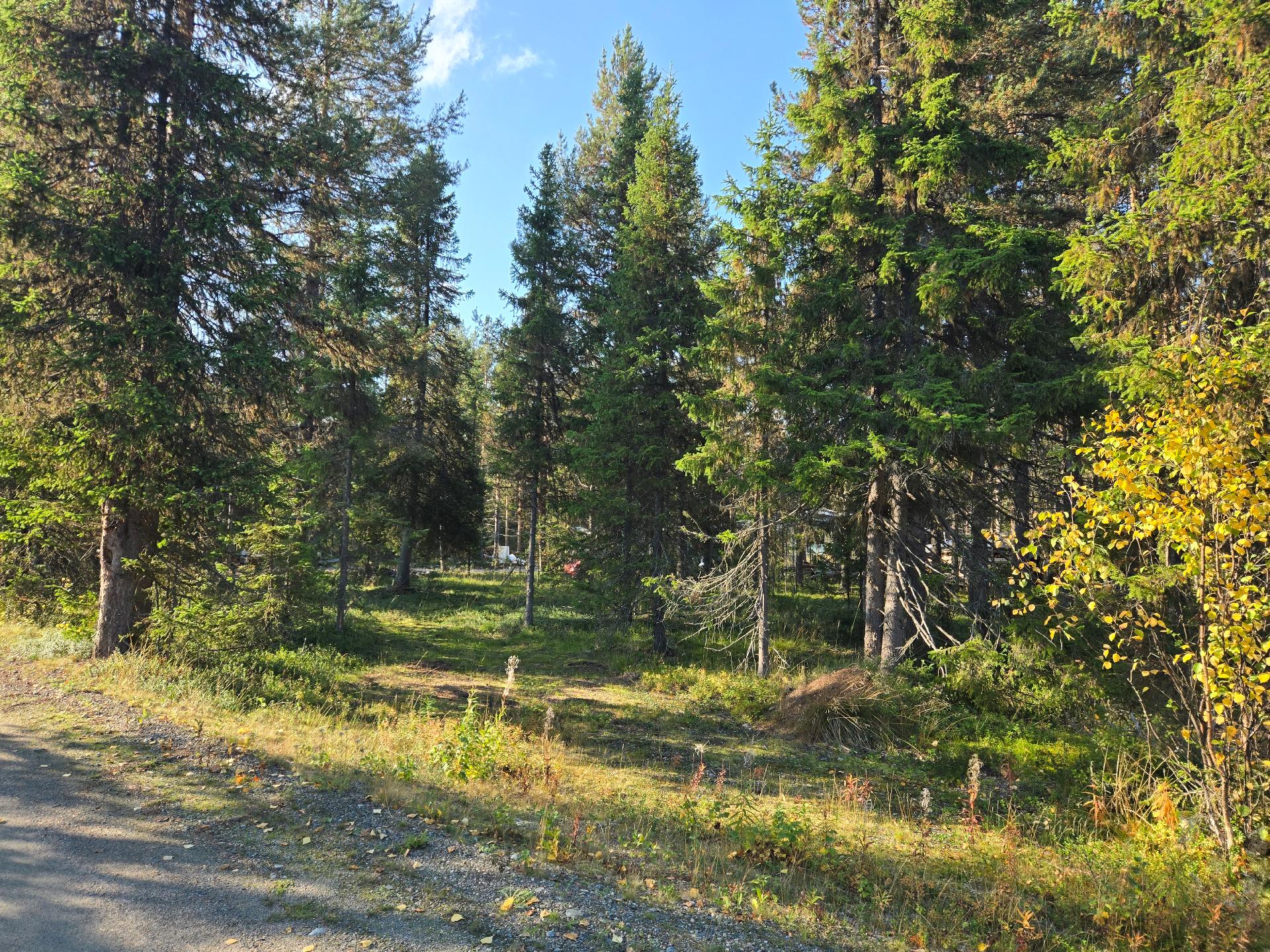 Kangasojantie 4, Kittilä