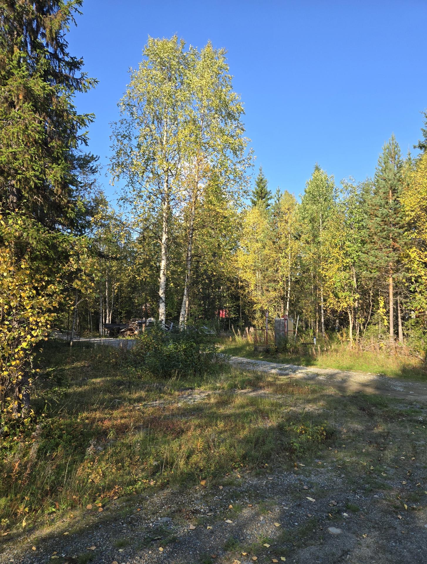 Kangasojantie 4, Kittilä