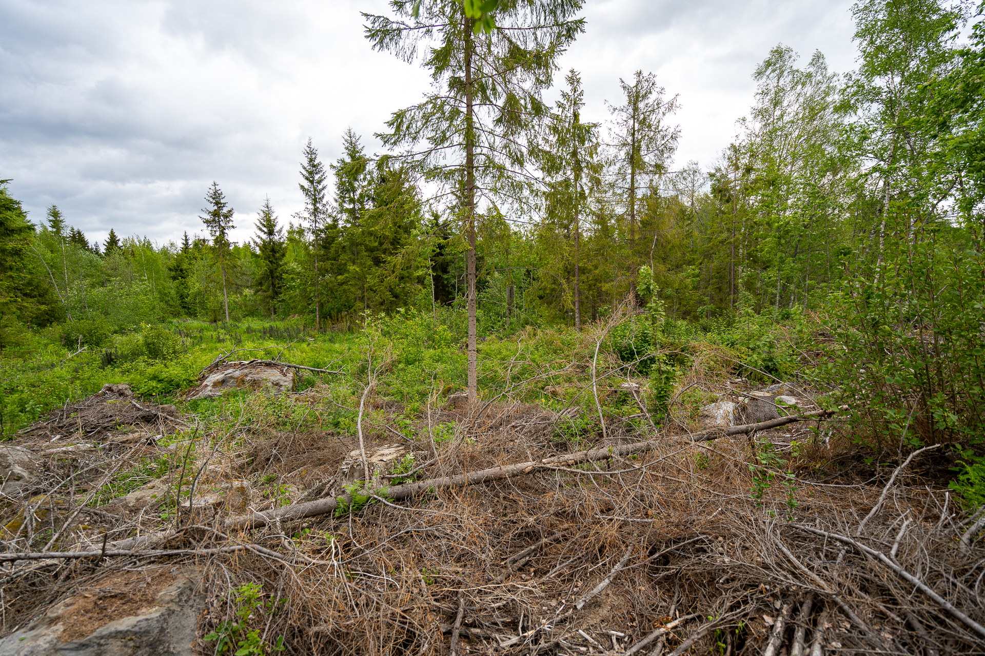 Taatanteli 40, Kärjenniemi, Valkeakoski
