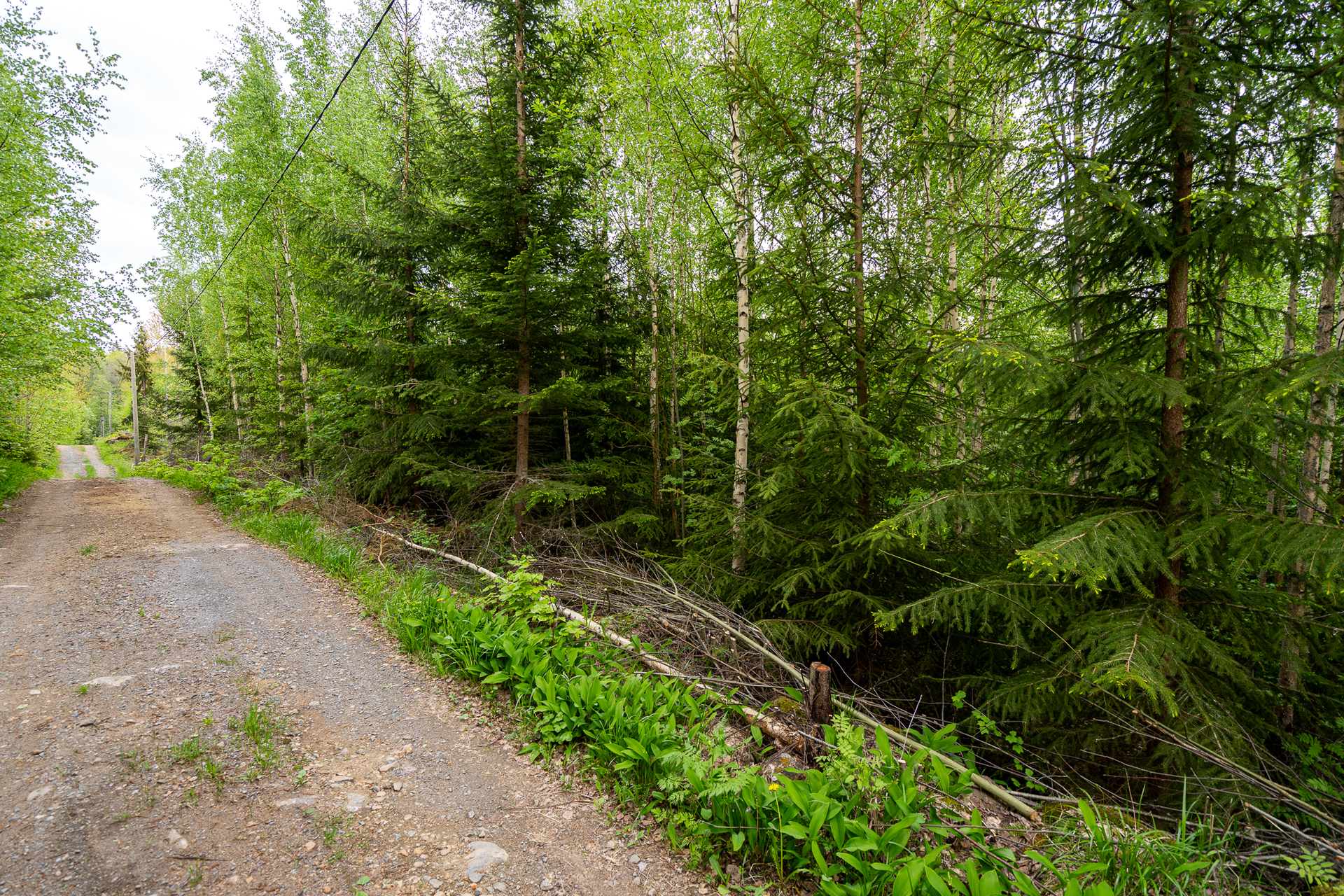 Taatanteli 40, Kärjenniemi, Valkeakoski