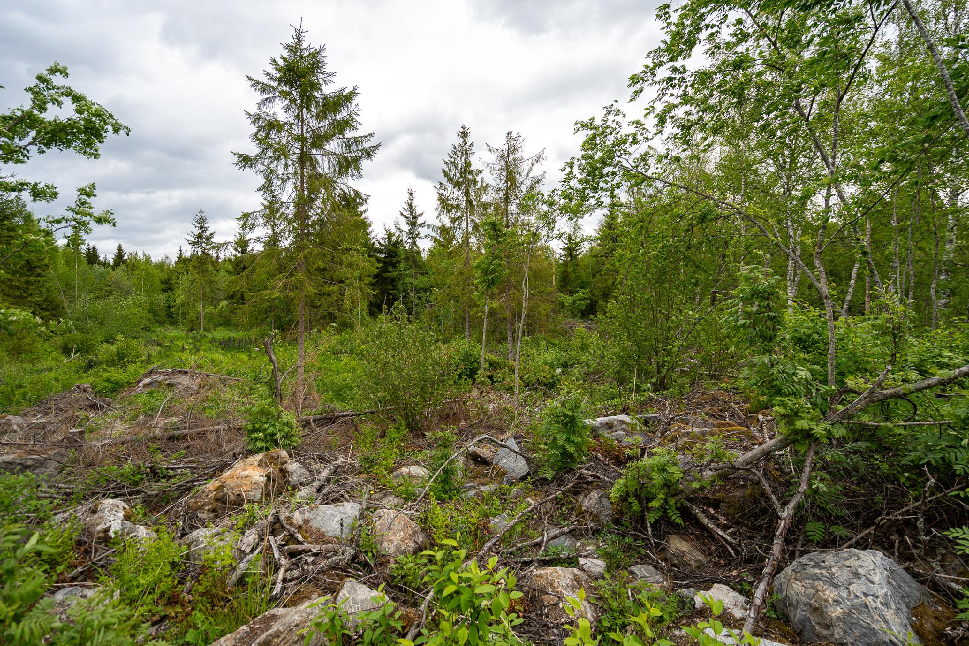 Taatanteli 40, Kärjenniemi, Valkeakoski