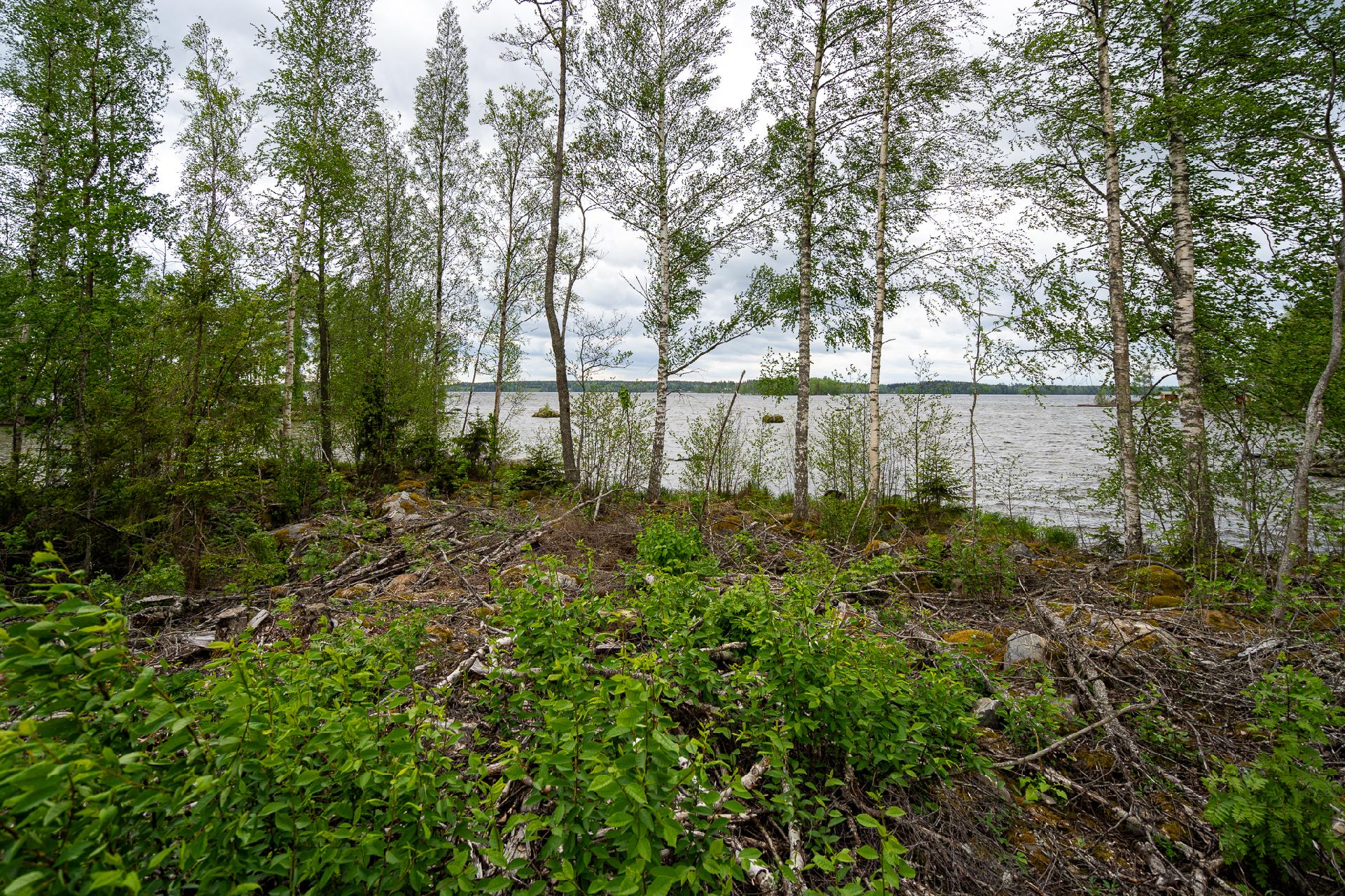 Taatanteli 40, Kärjenniemi, Valkeakoski
