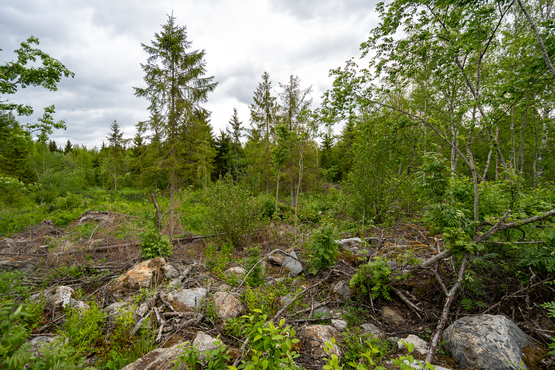 Taatanteli 40, Kärjenniemi, Valkeakoski