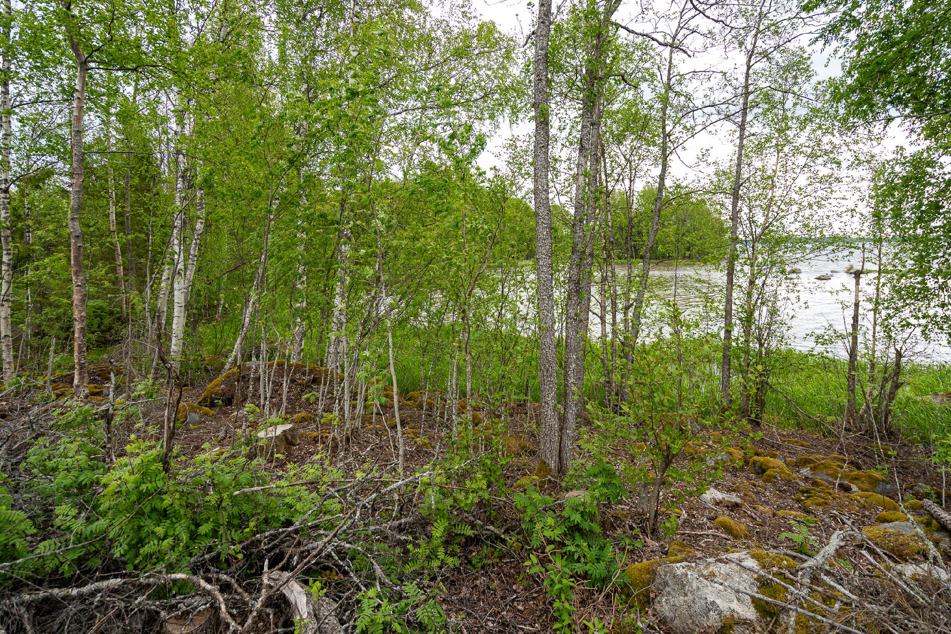 Taatanteli 40, Kärjenniemi, Valkeakoski