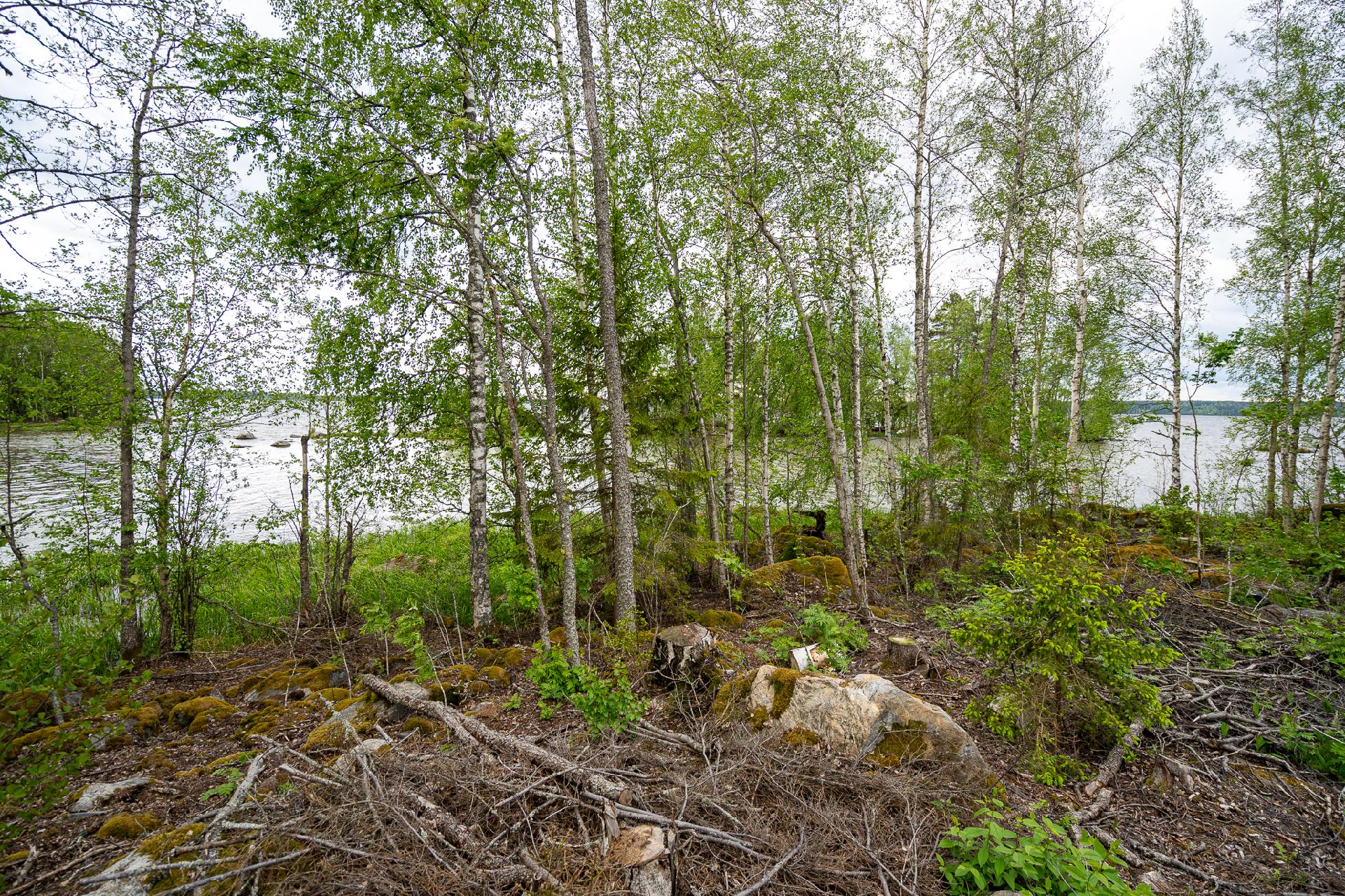 Taatanteli 40, Kärjenniemi, Valkeakoski