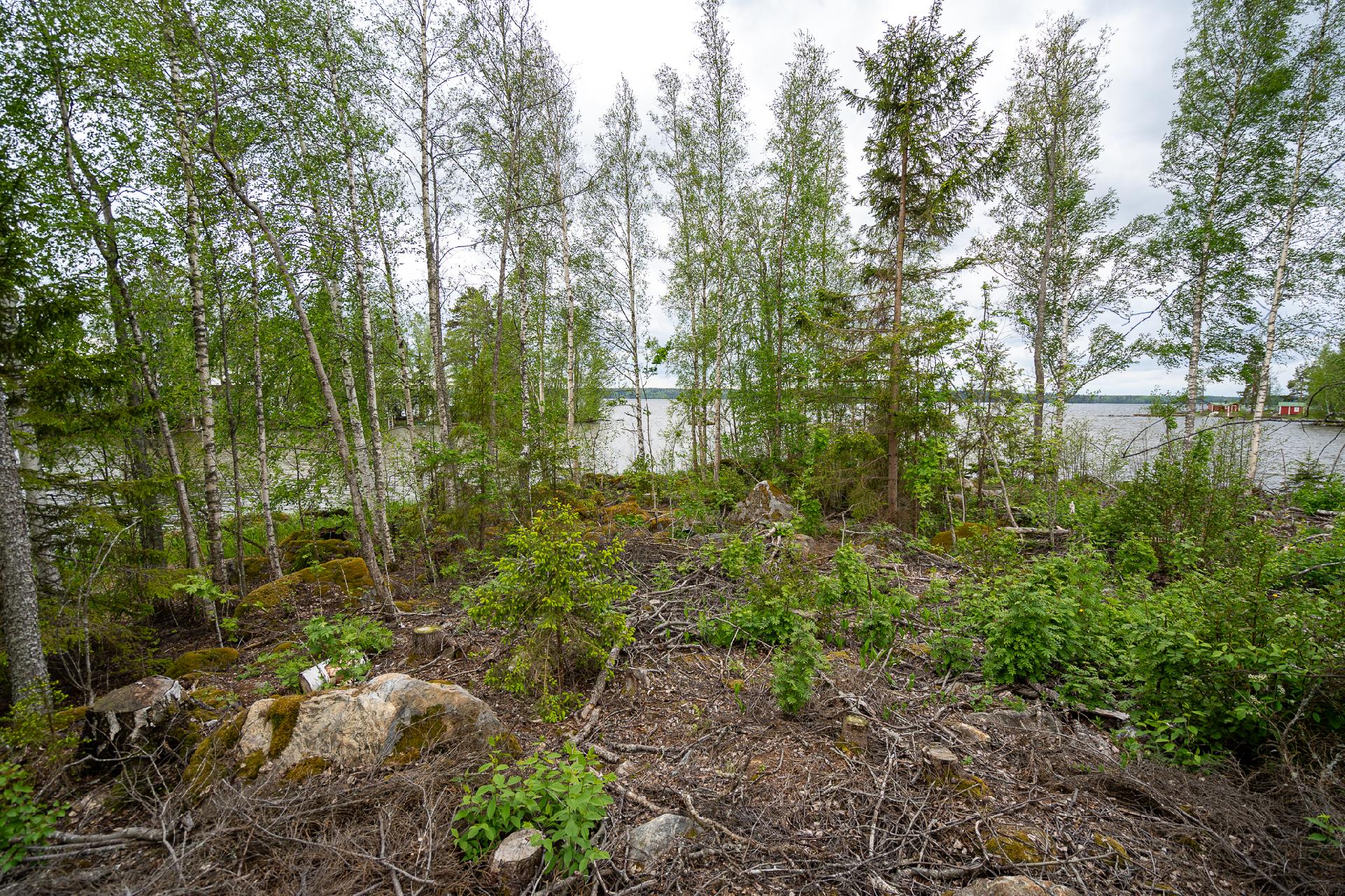 Taatanteli 40, Kärjenniemi, Valkeakoski