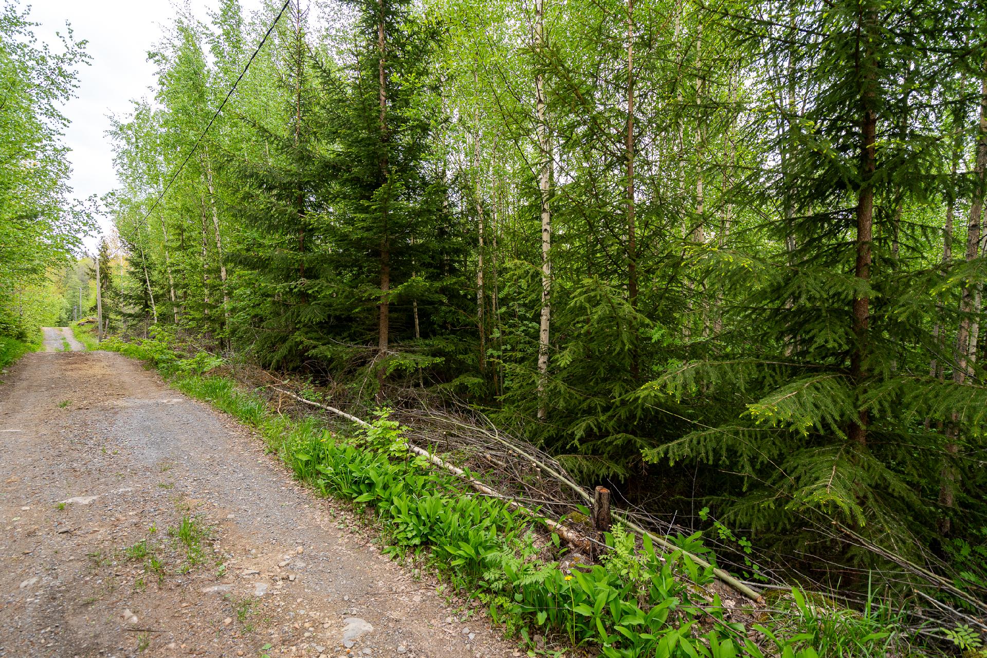 Taatanteli 40, Kärjenniemi, Valkeakoski