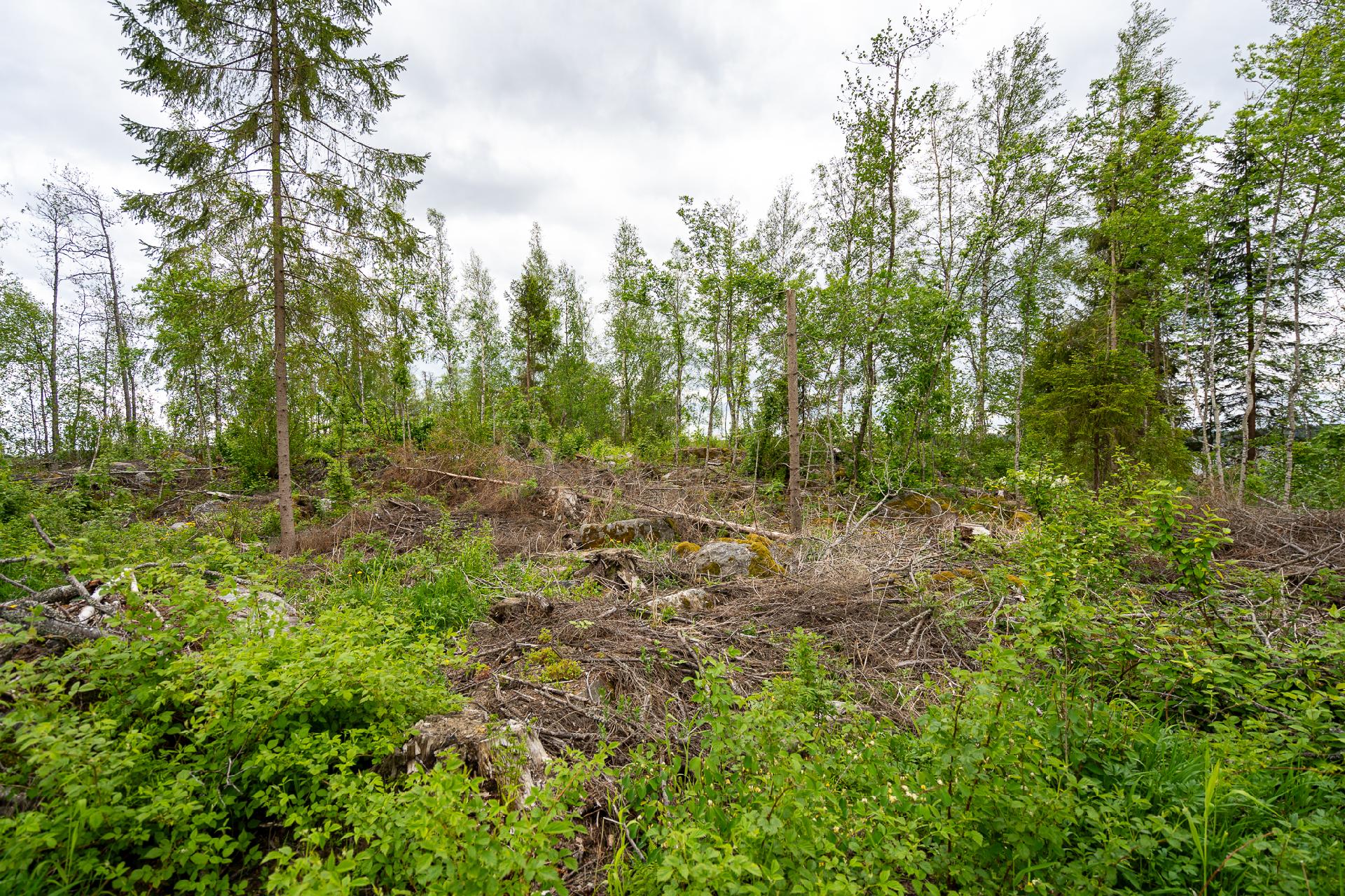 Taatanteli 40, Kärjenniemi, Valkeakoski