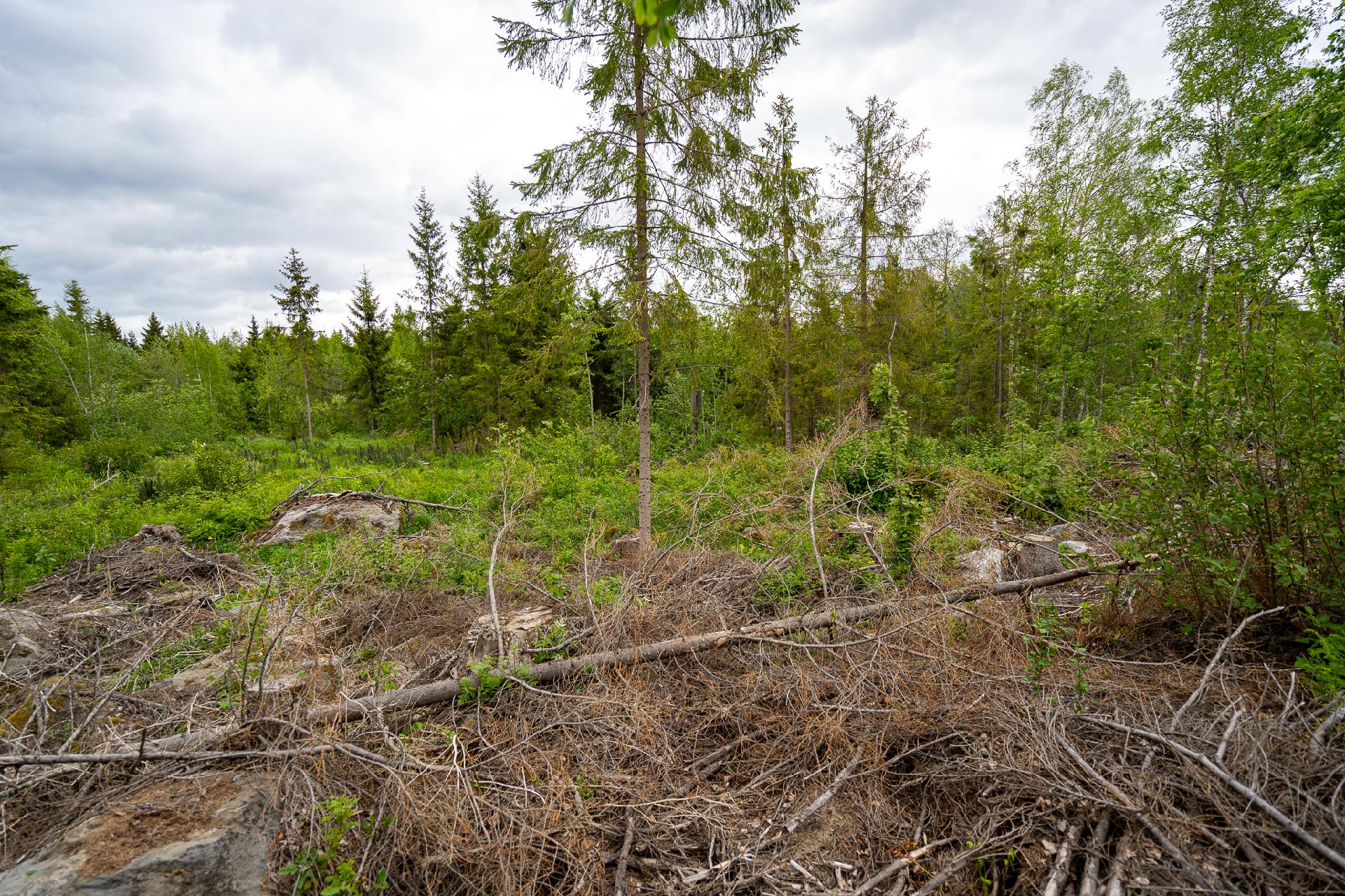 Taatanteli 40, Kärjenniemi, Valkeakoski
