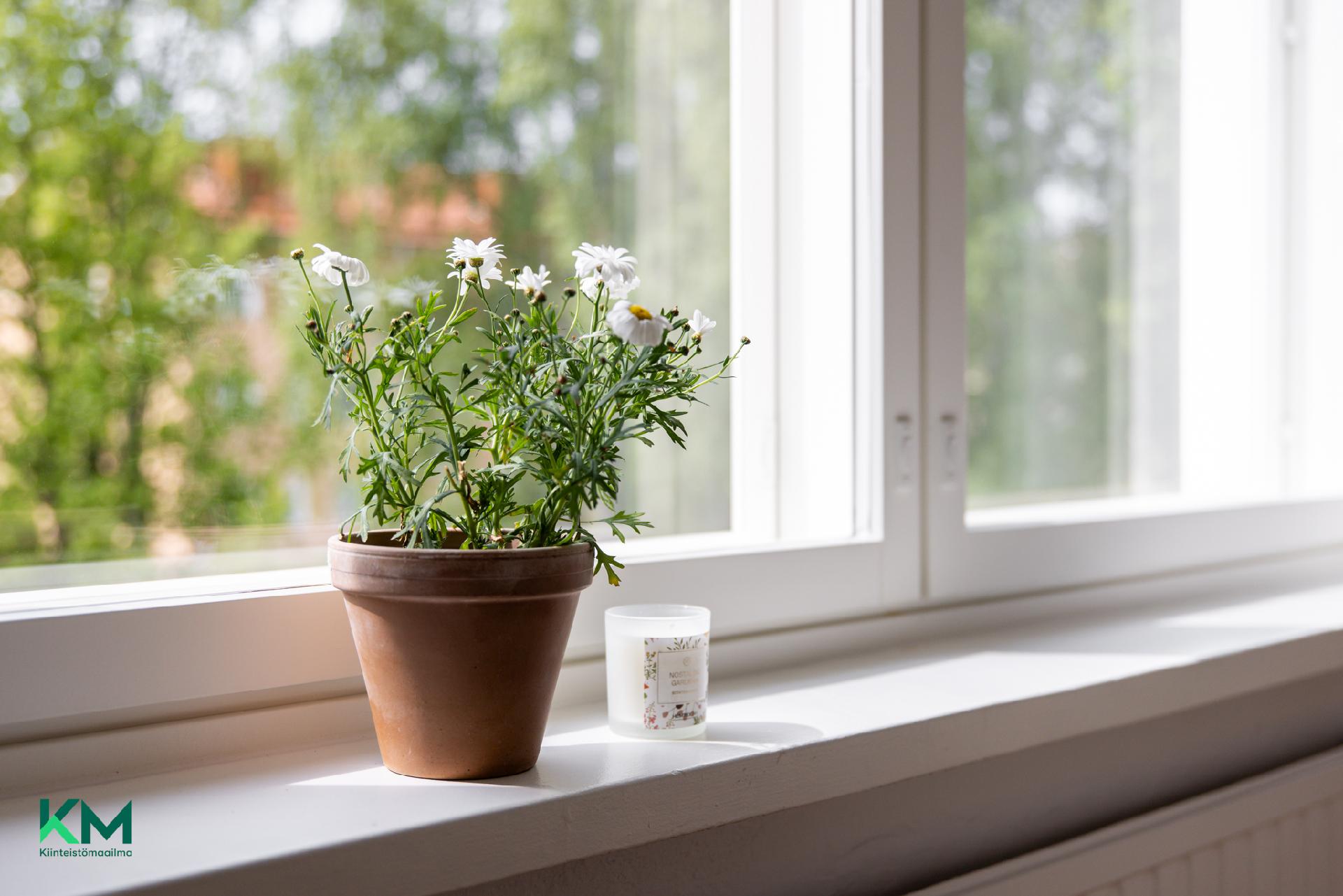 Hakakatu 14, Karjasilta, Oulu