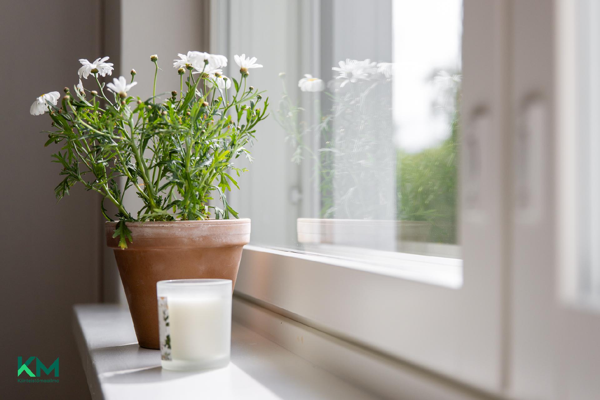 Hakakatu 14, Karjasilta, Oulu