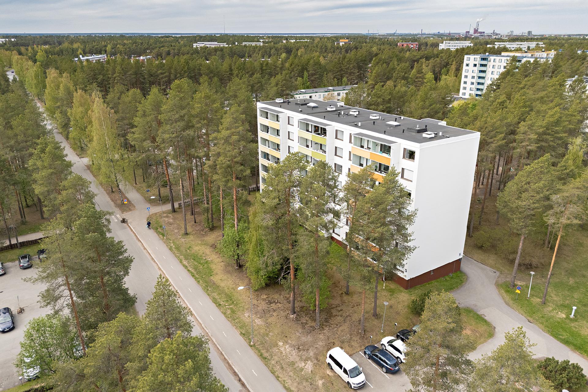 Ampuhaukantie 5, Kaukovainio, Oulu