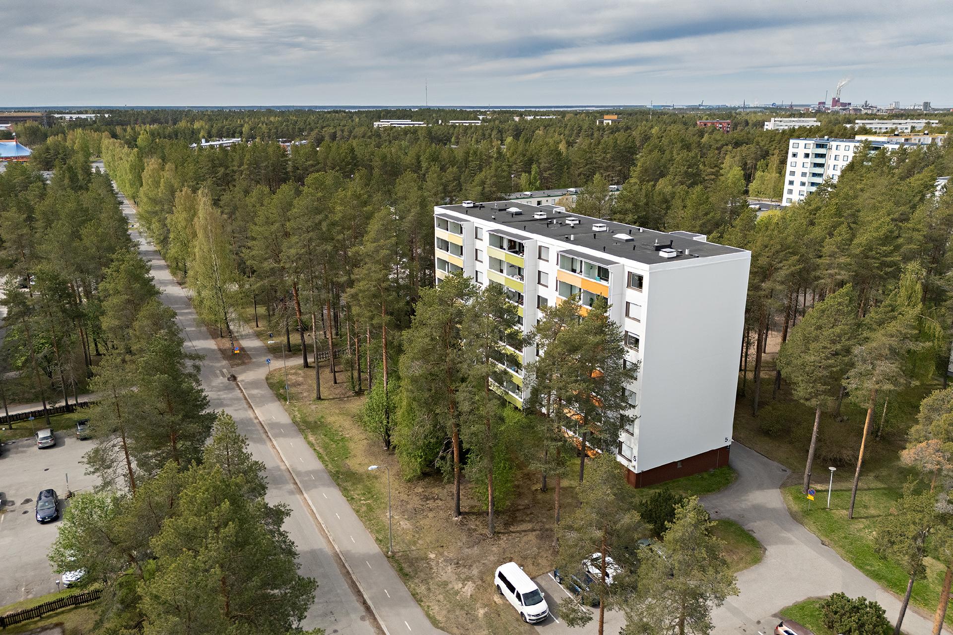 Ampuhaukantie 5, Kaukovainio, Oulu