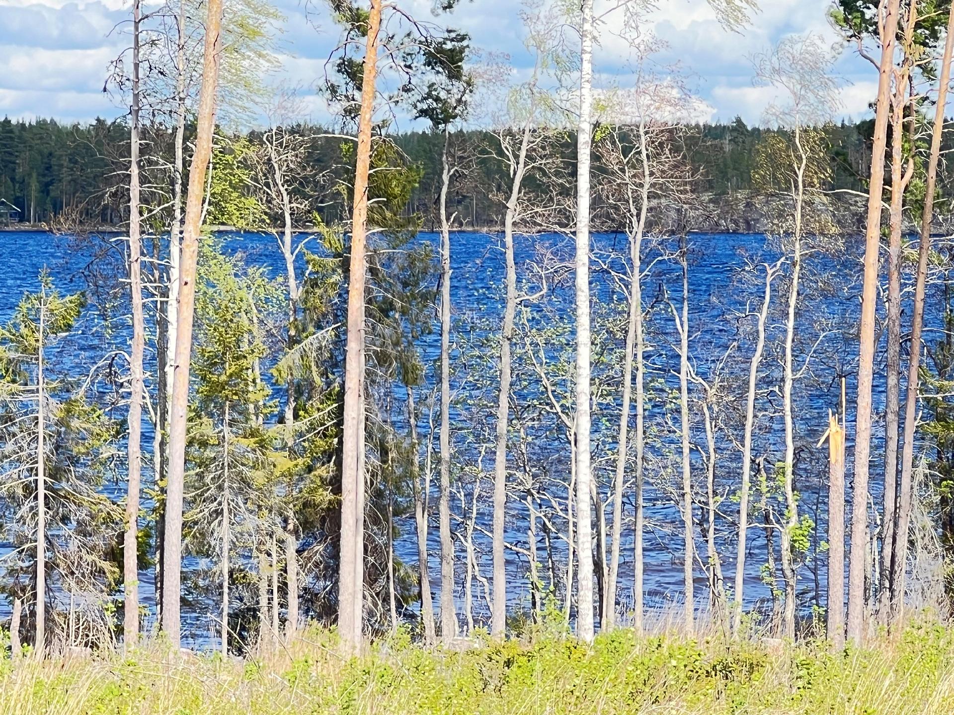 näkymä vastarannalle