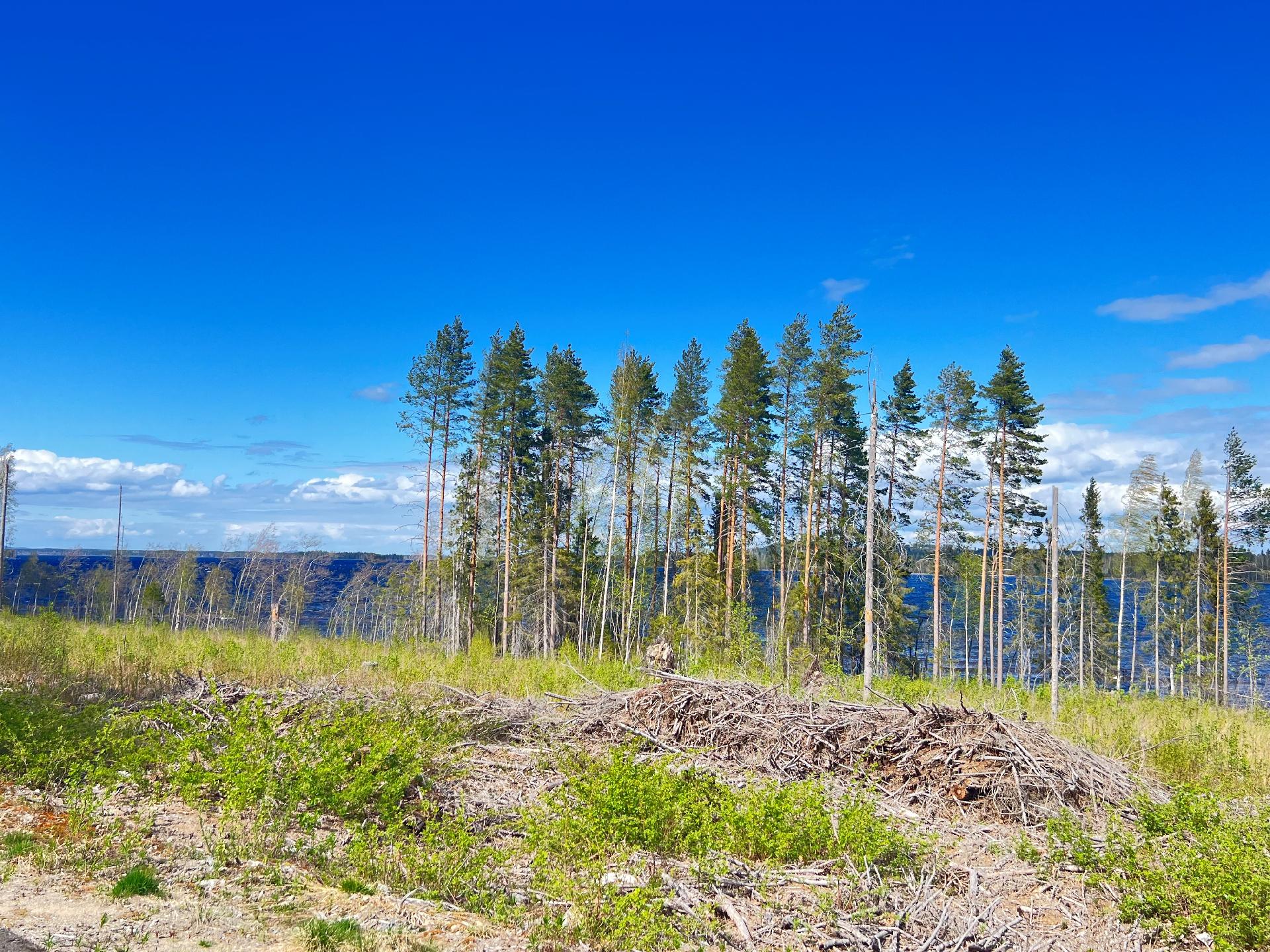rakenna koti tai vapaa-ajan asunto