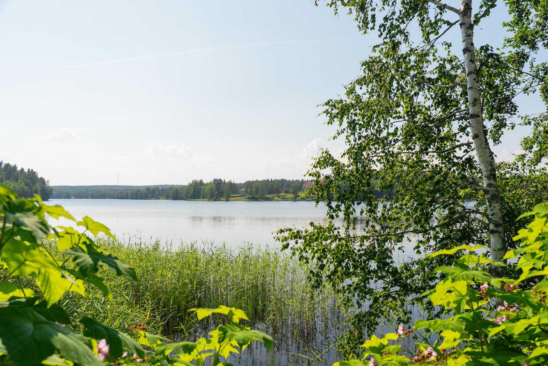 Suojärvenranta 5, Suolahti, Äänekoski