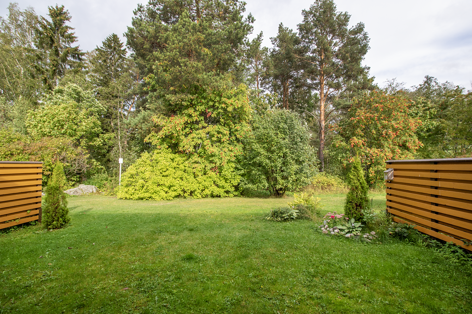 Takapiha rajoittuu puisto metsään