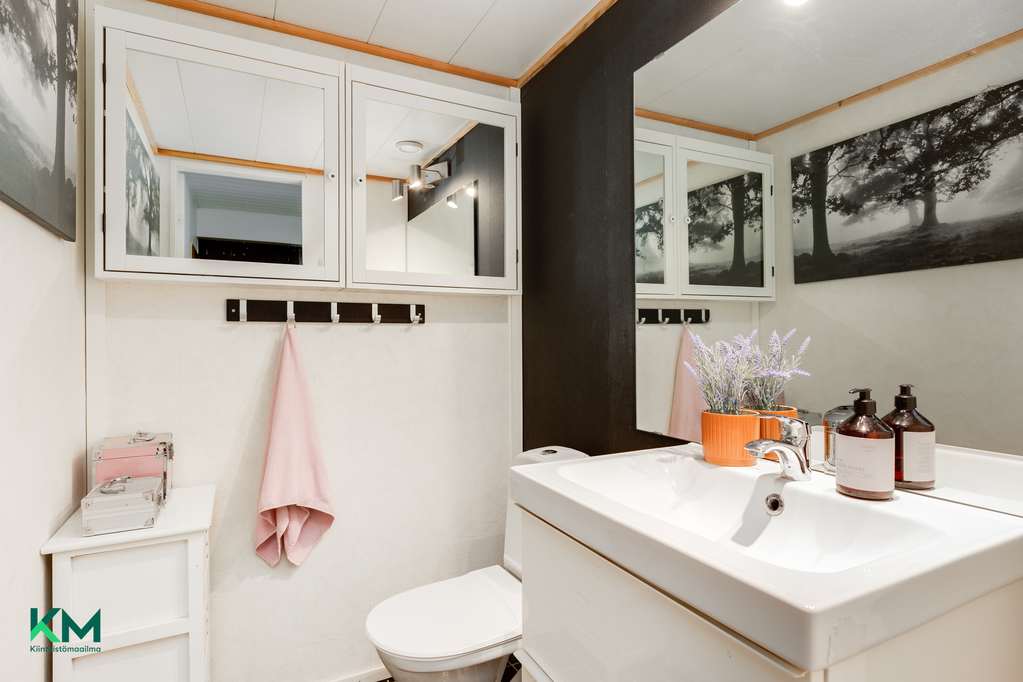 Alakerran erillinen wc