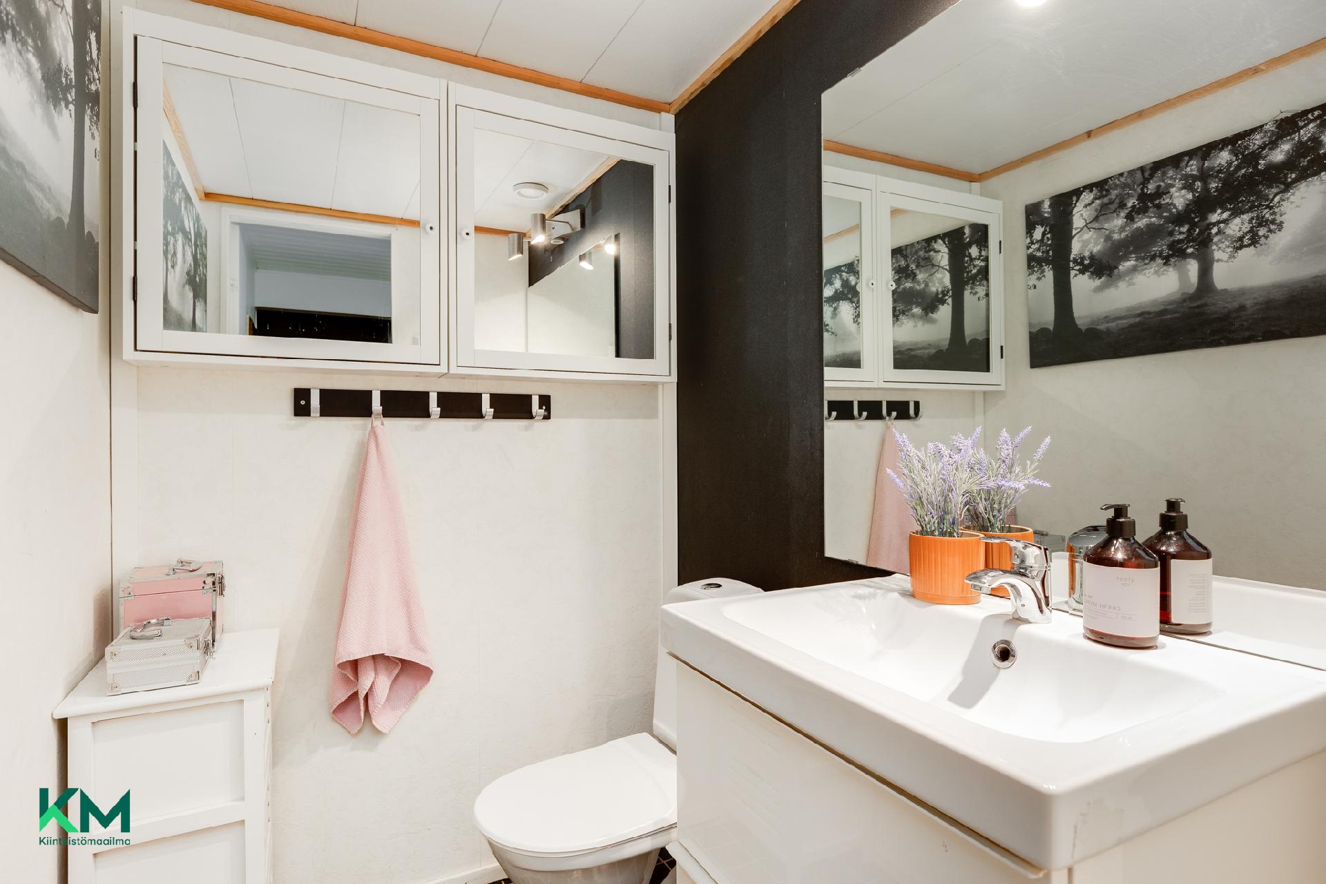 Alakerran erillinen wc