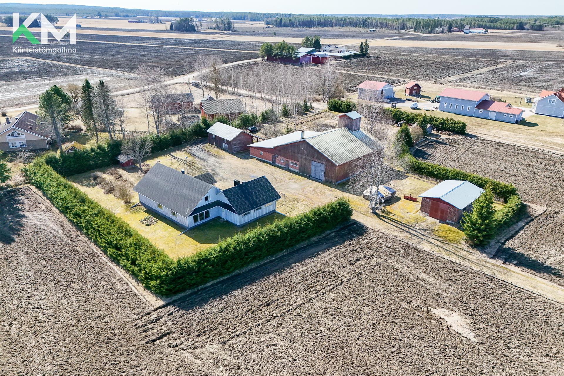 Rintatie 117, Mieto, Kurikka