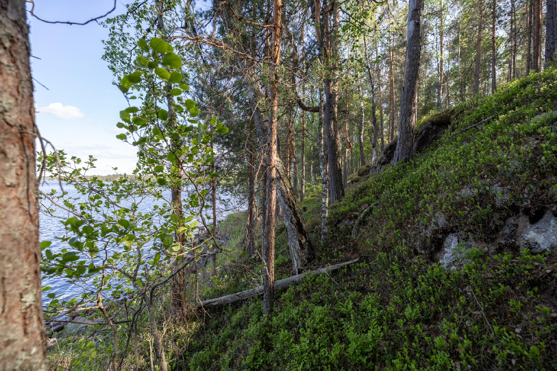 Lavulahdentie -, Mikkeli