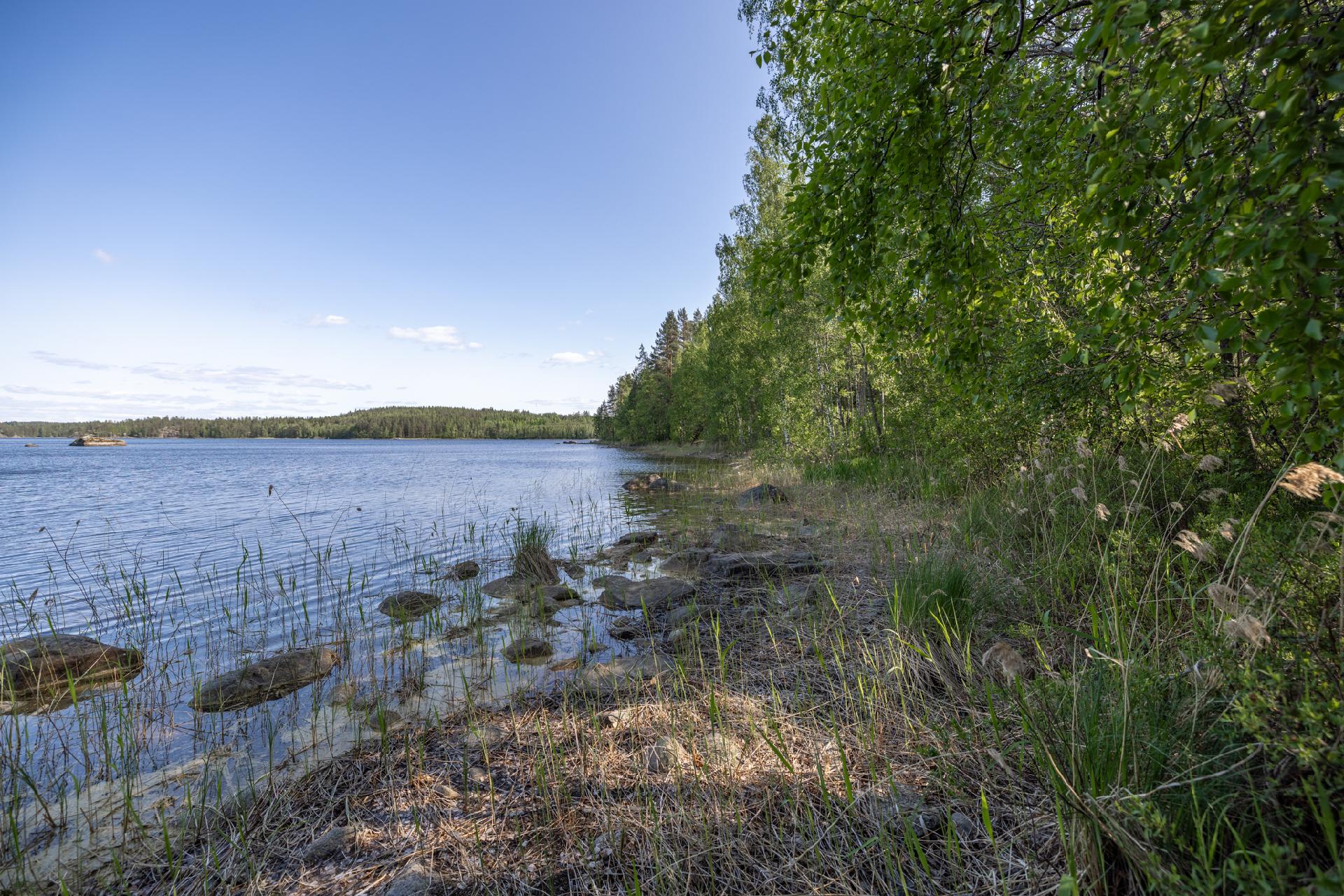 Lavulahdentie -, Mikkeli