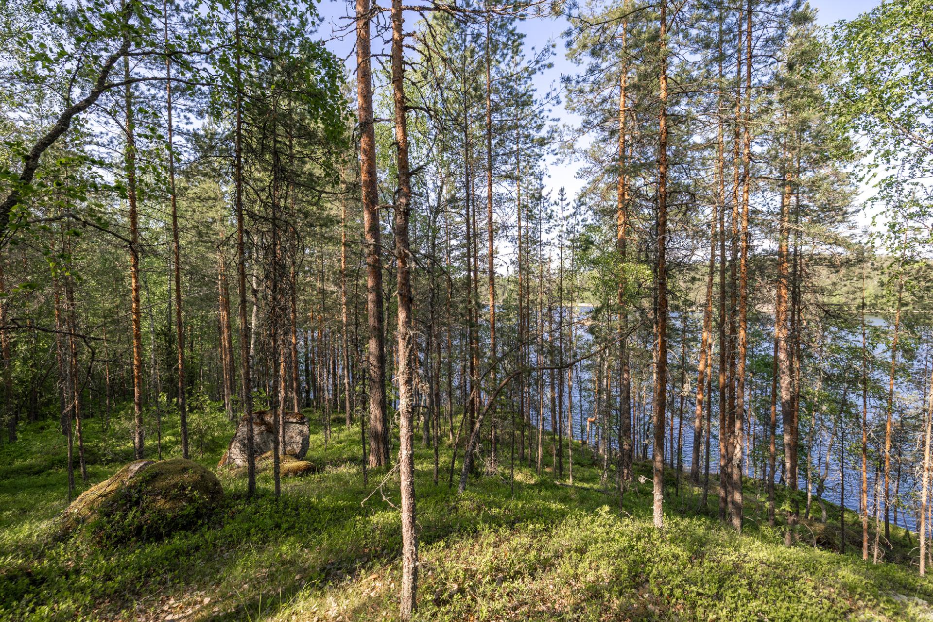 Lavulahdentie -, Mikkeli