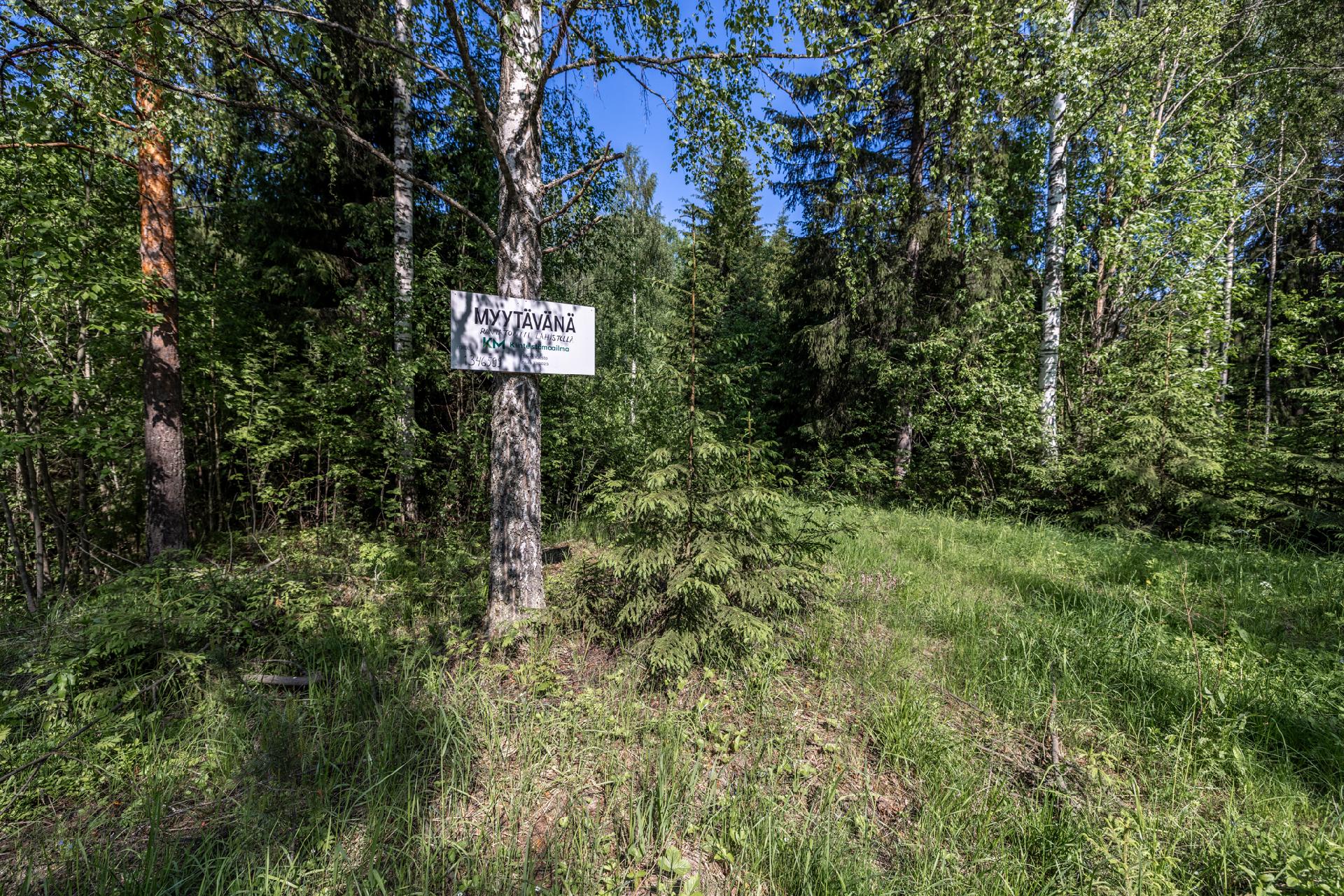 Lavulahdentie -, Mikkeli