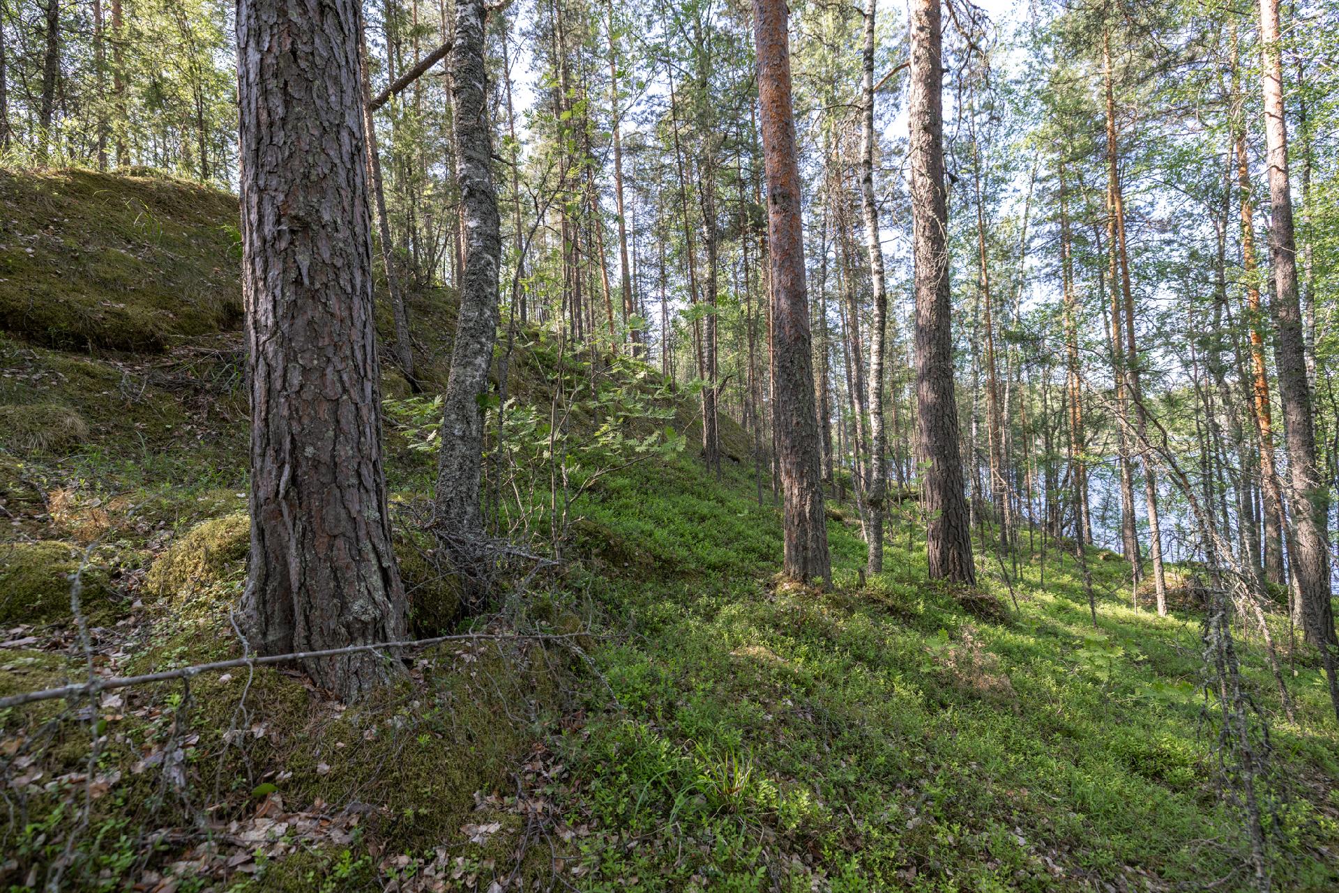 Lavulahdentie -, Mikkeli