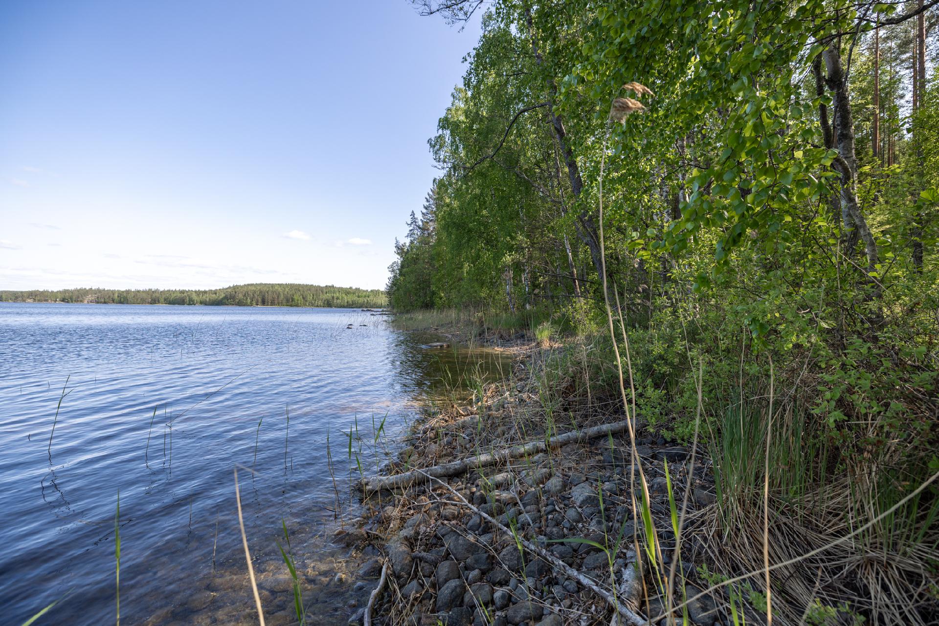 Lavulahdentie -, Mikkeli