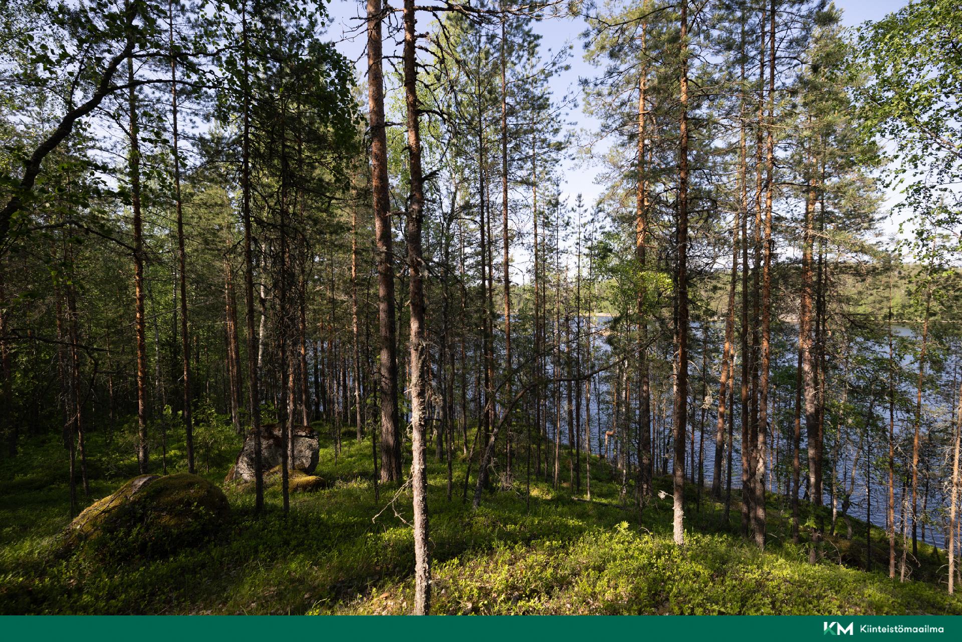 Lavulahdentie -, Mikkeli