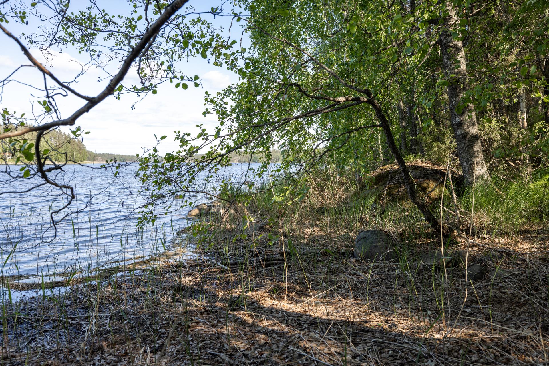 Lavulahdentie -, Mikkeli