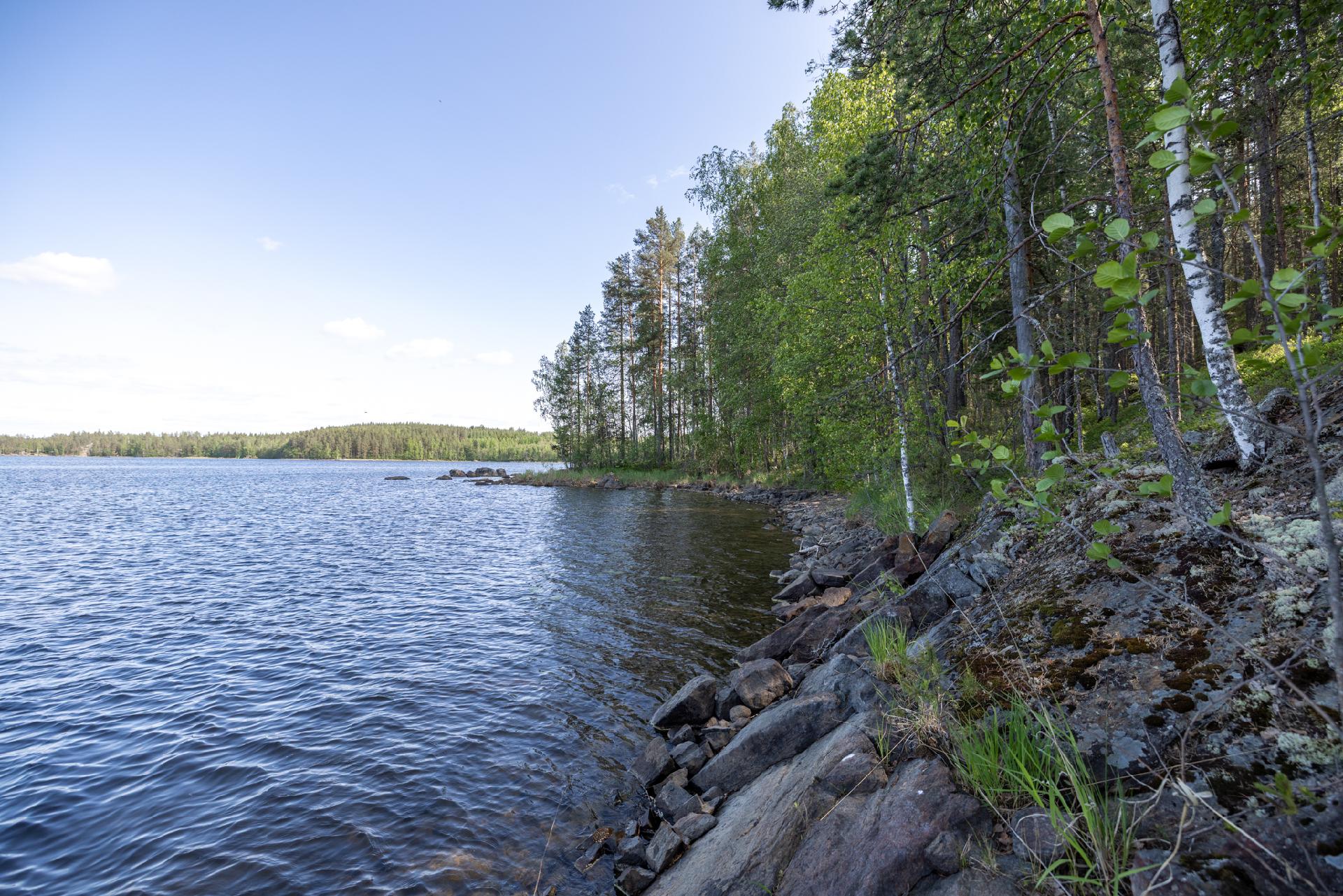 Lavulahdentie -, Mikkeli