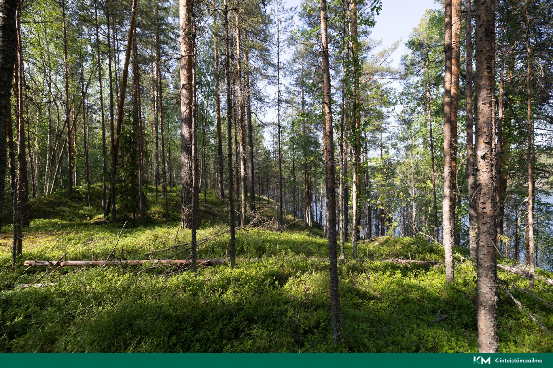 Lavulahdentie -, Mikkeli