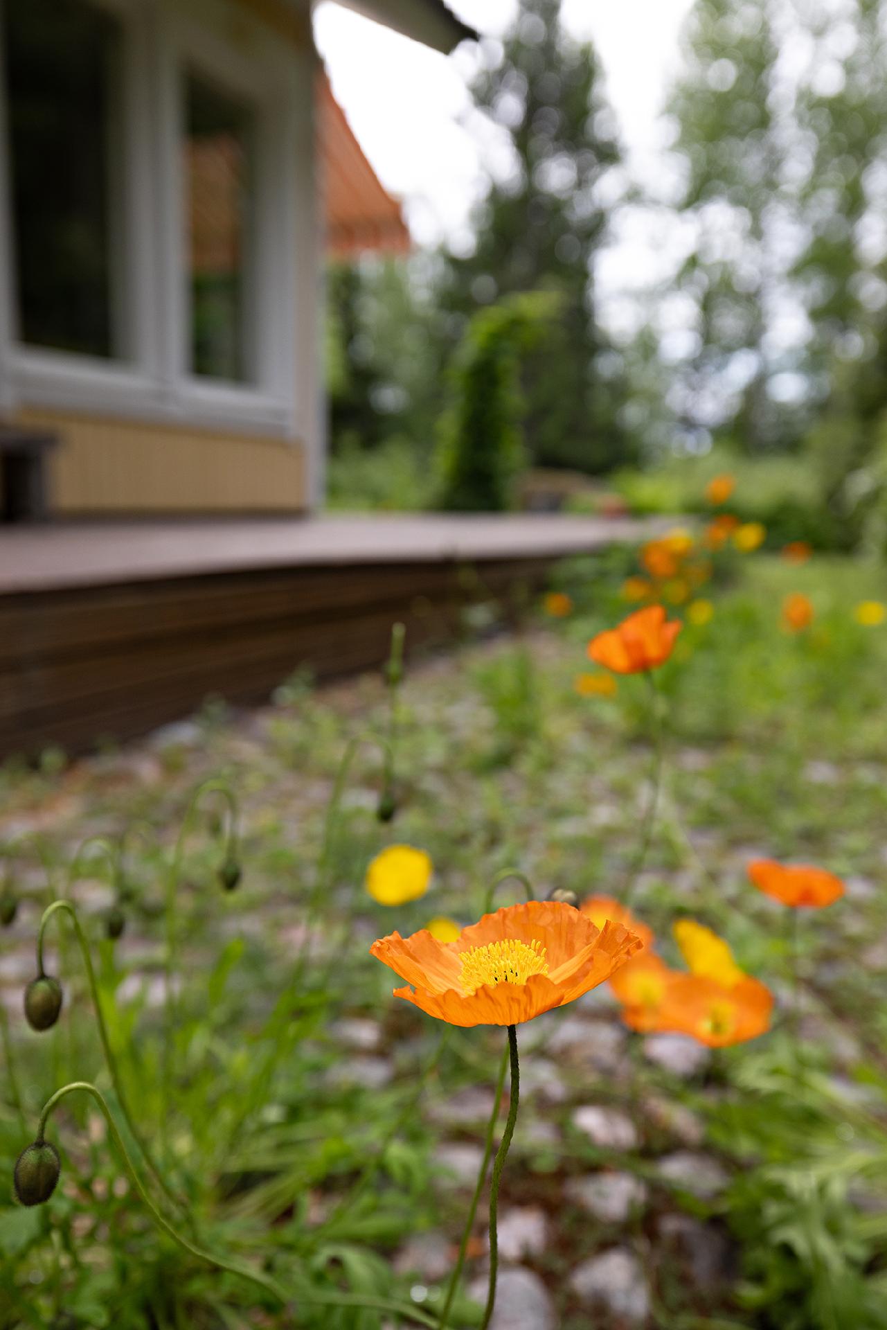 Törmäpolku 2, Kiiminki, Oulu