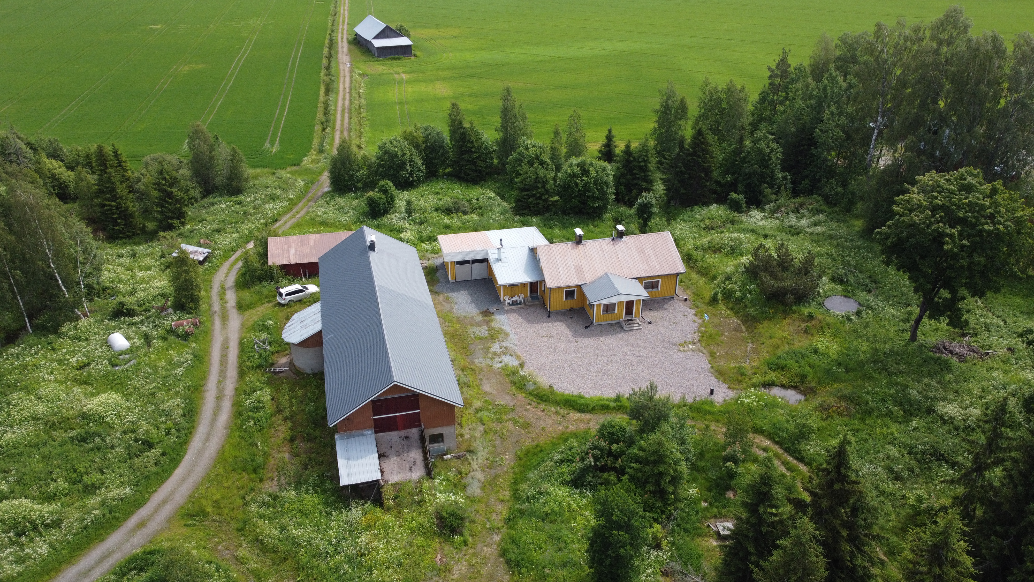 Hauhontaustantie 1255, Vesunti, Hattula