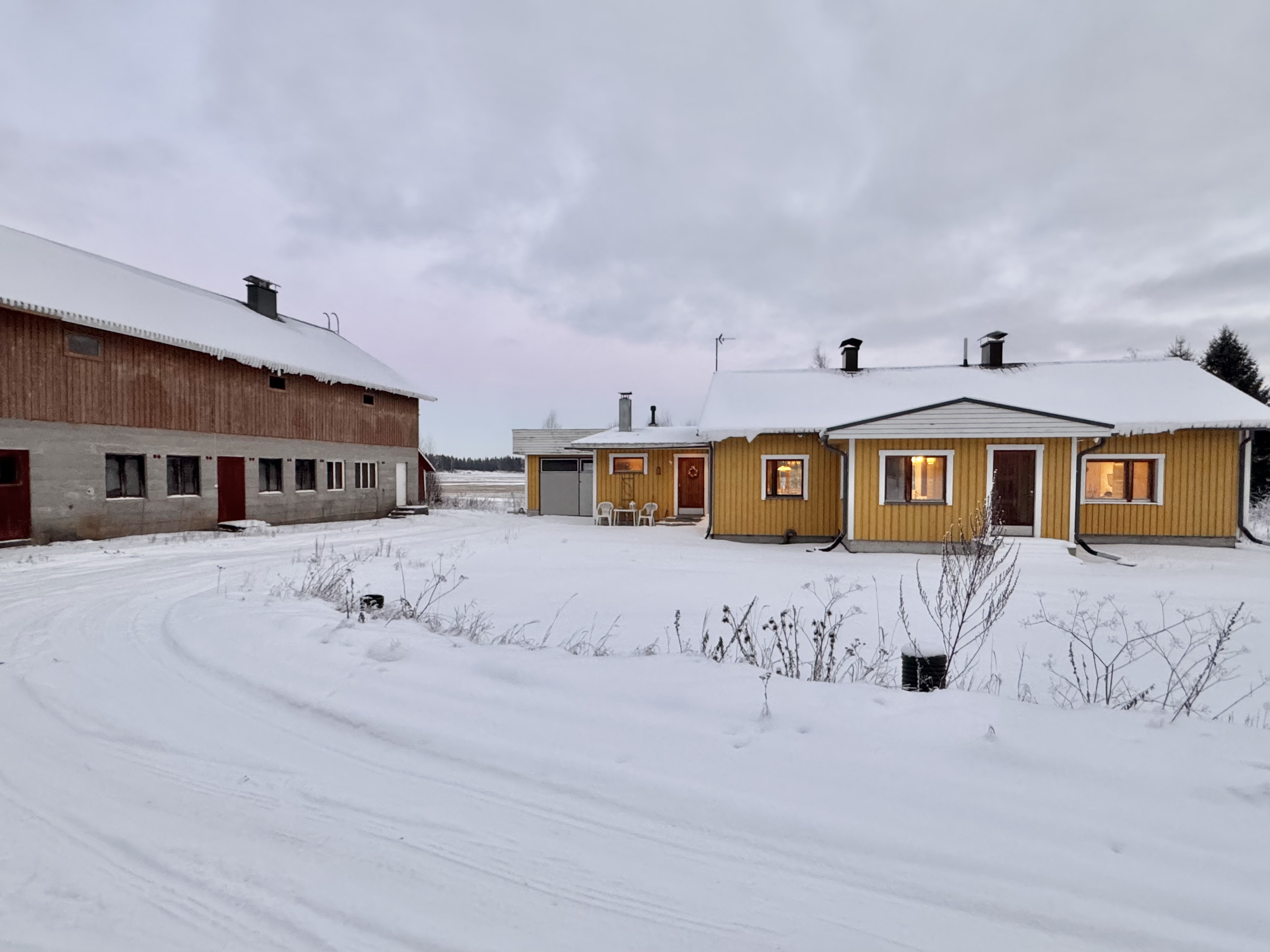 Hauhontaustantie 1255, Vesunti, Hattula