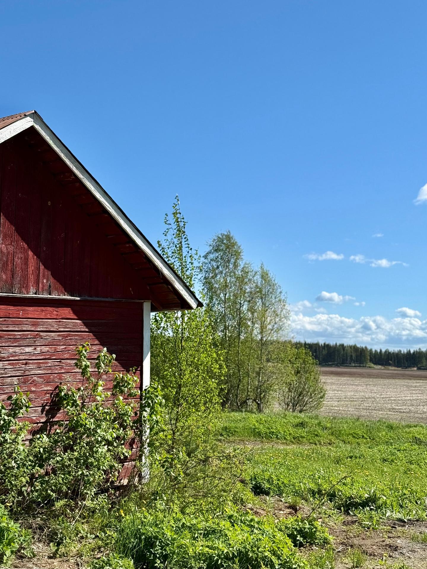 Hauhontaustantie 1255, Vesunti, Hattula