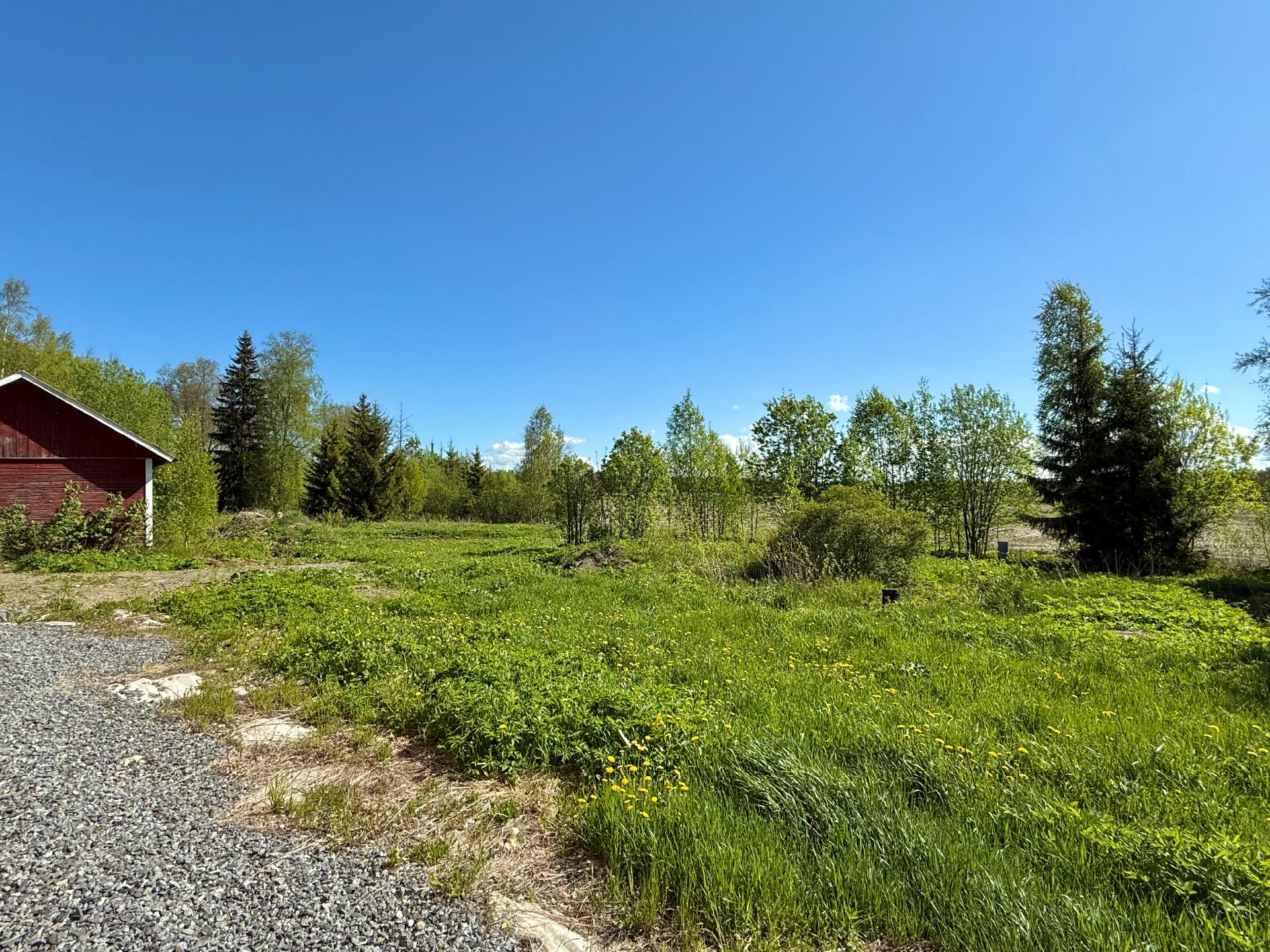 Hauhontaustantie 1255, Vesunti, Hattula