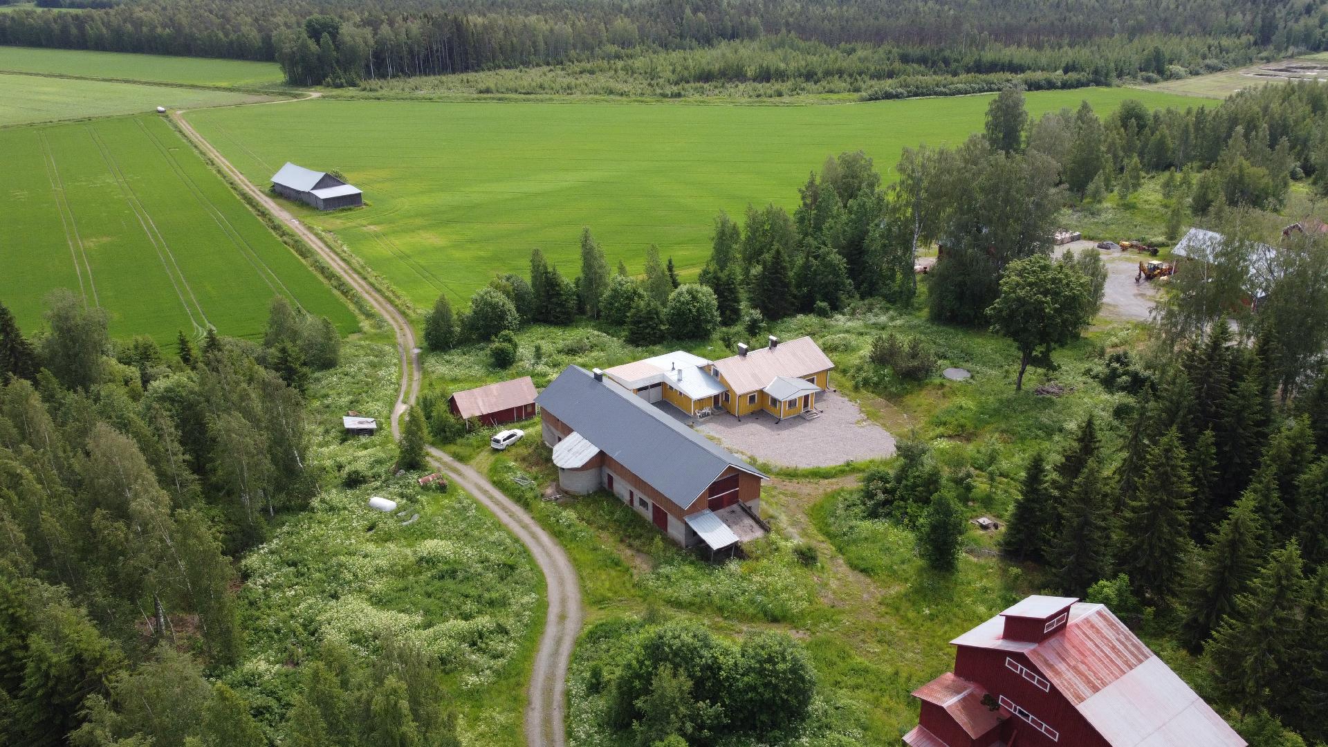 Hauhontaustantie 1255, Vesunti, Hattula