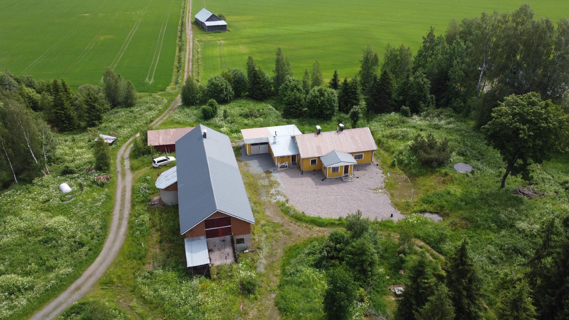 Hauhontaustantie 1255, Vesunti, Hattula