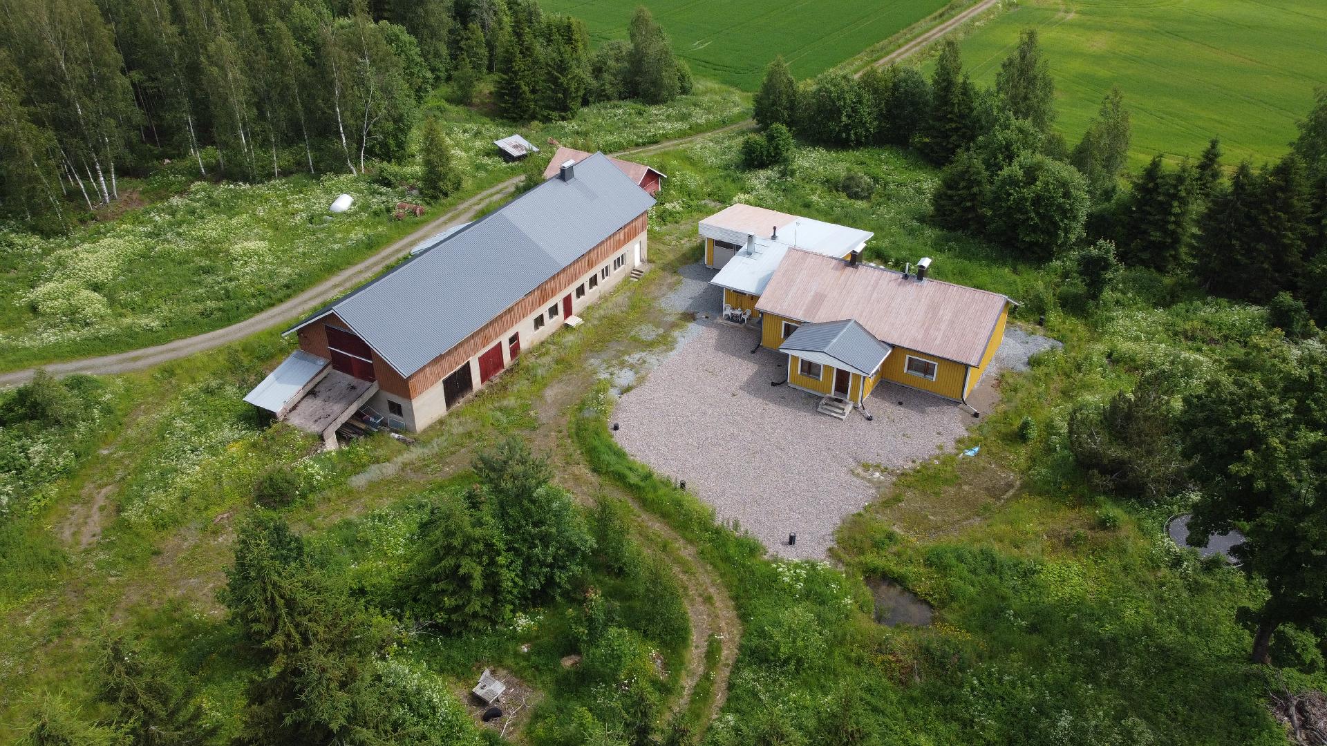 Hauhontaustantie 1255, Vesunti, Hattula