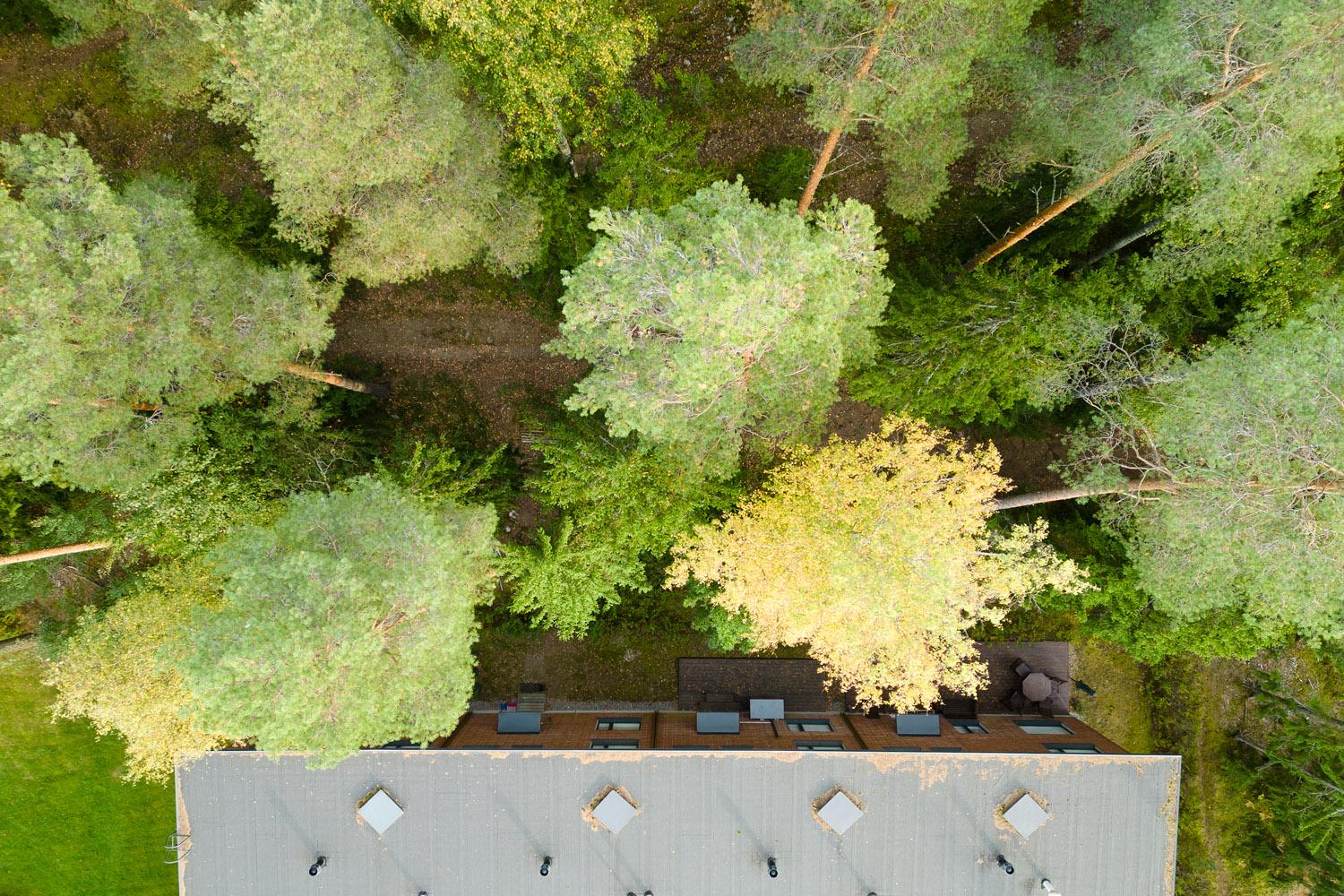 Luonto alkaa kotiovelta